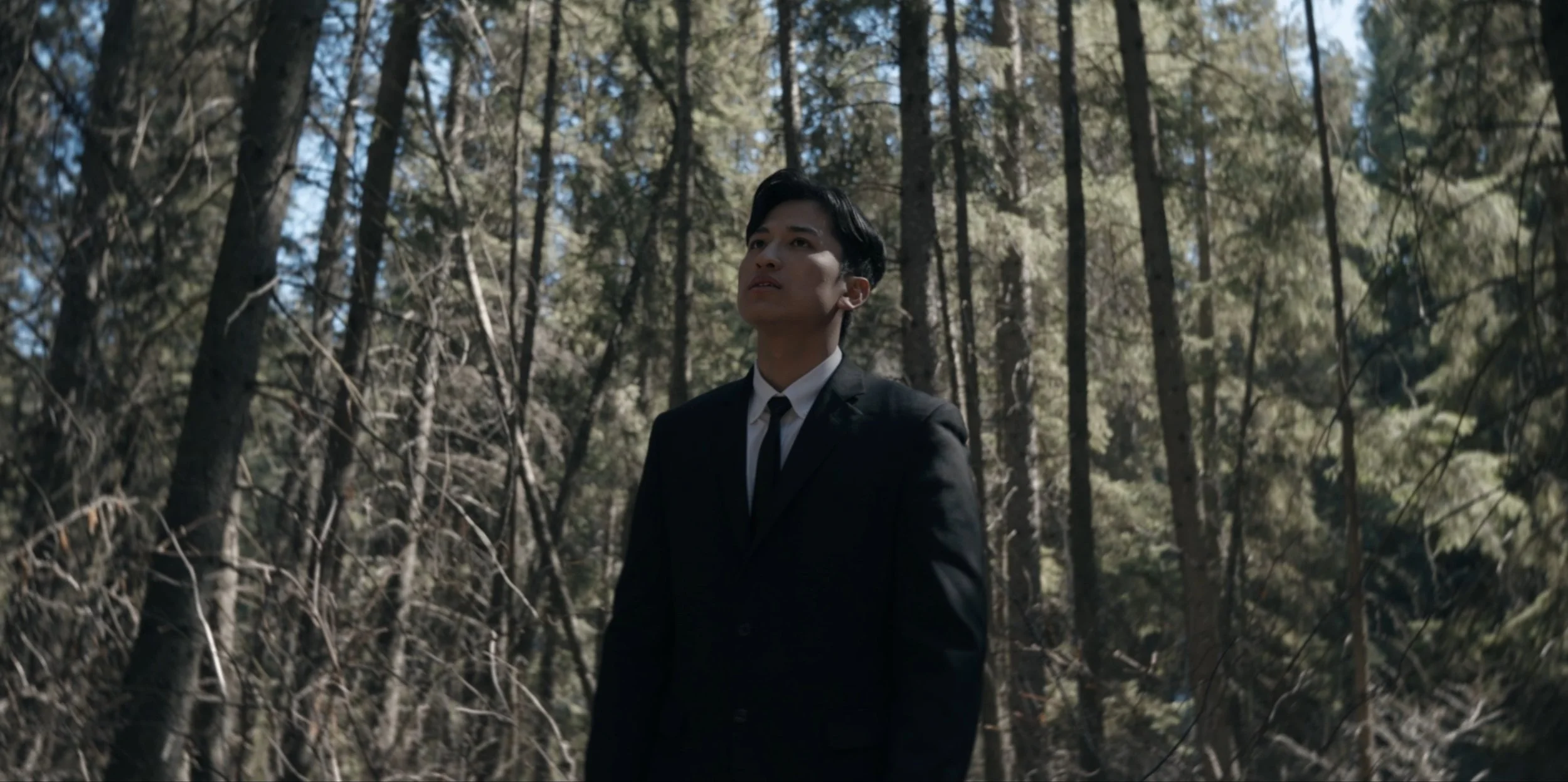 Still 2025-10-10 093837_1.1.8.jpg