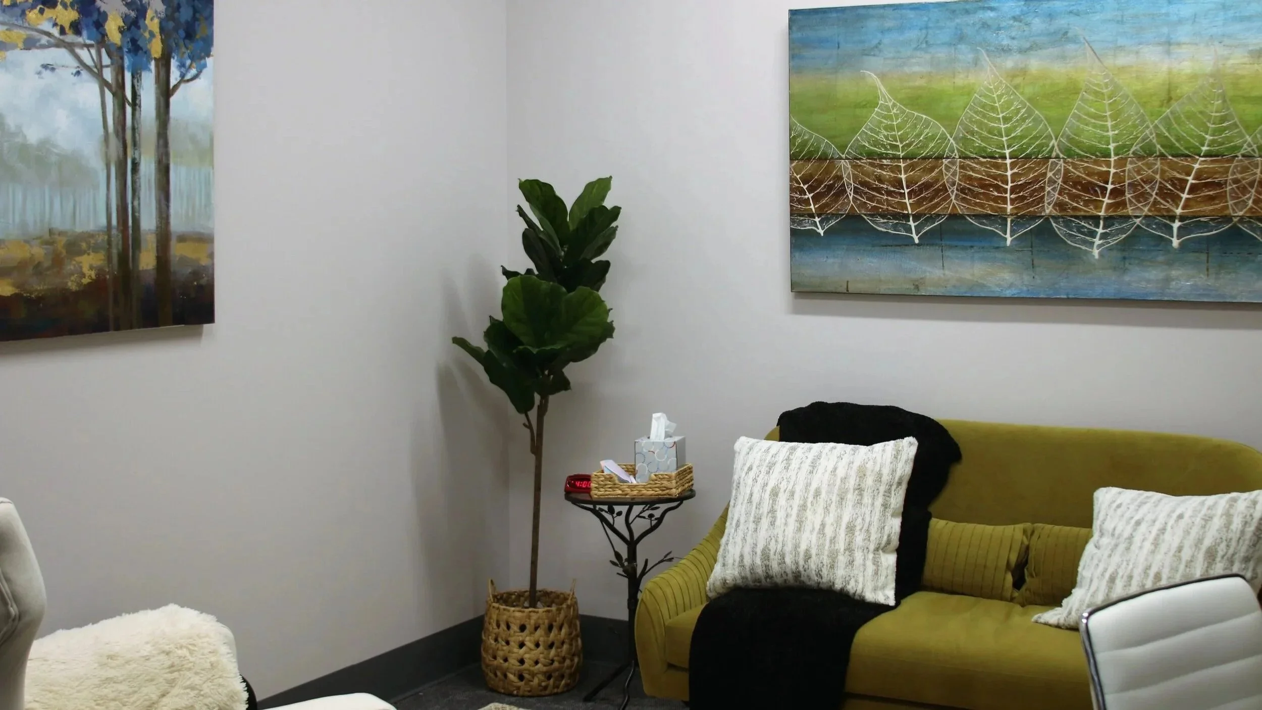 Individual Psychotherapy