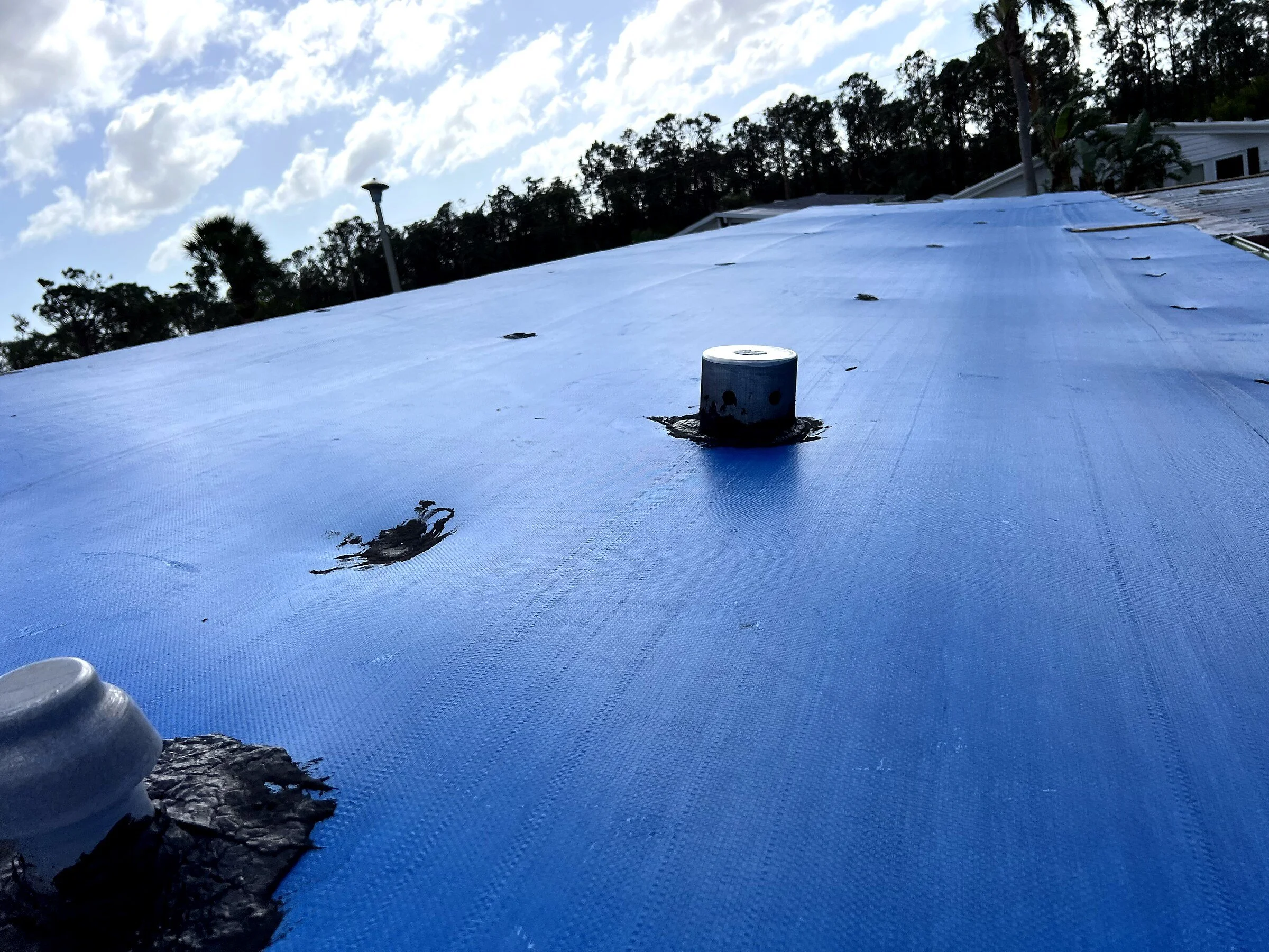 Roof covered with blue tarp, with some debris and two large nails in the foreground, and trees and cloudy sky in the background.