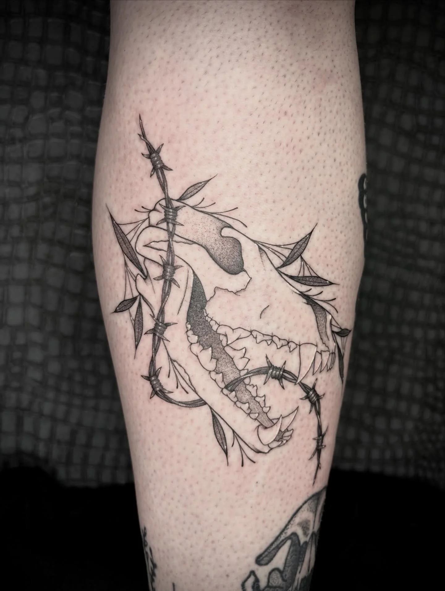 love doing animal skulls 🕸️ thank you so much brooke! link in my bio to inquire/book, more available flash in my highlights :)