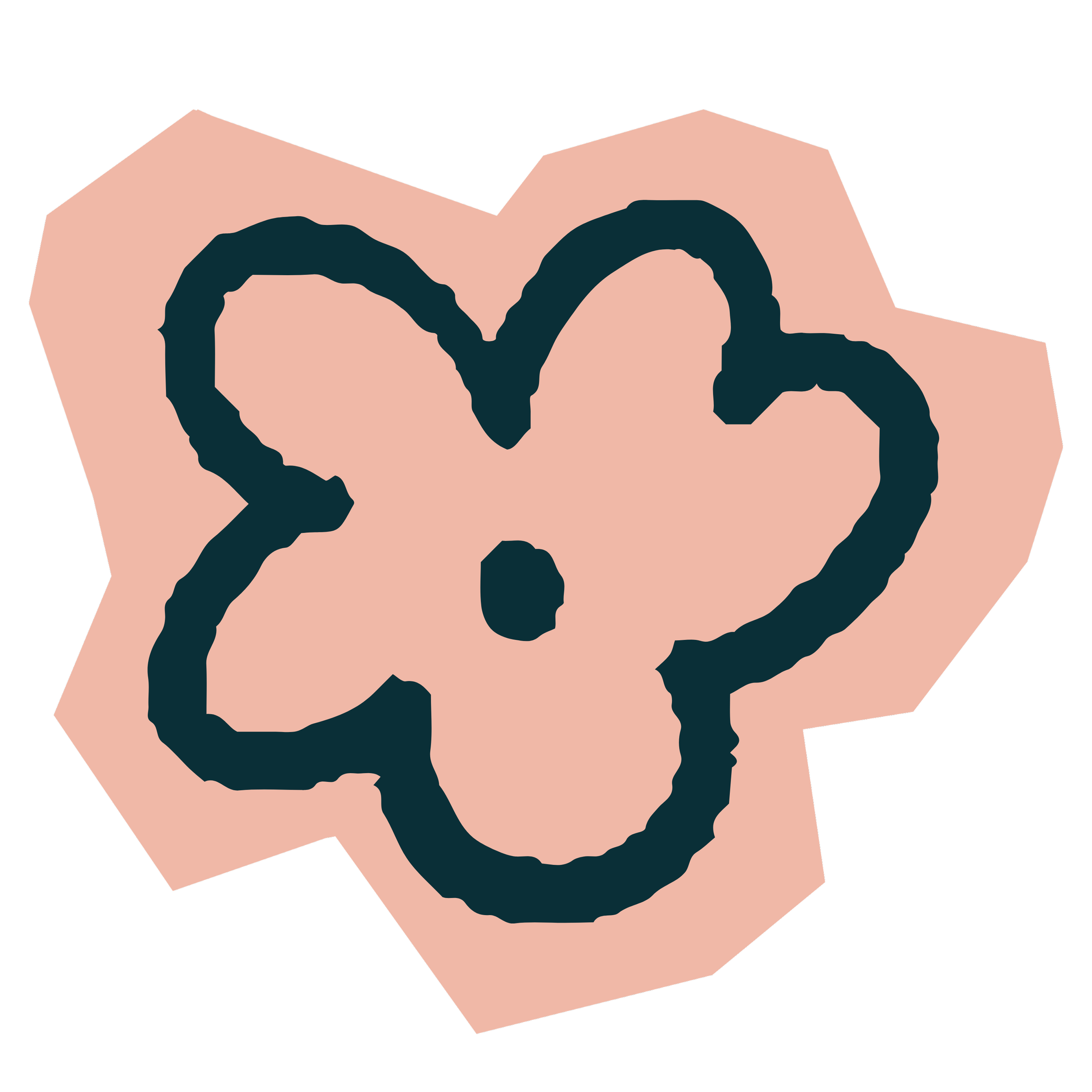 Stylized illustration of a flower.