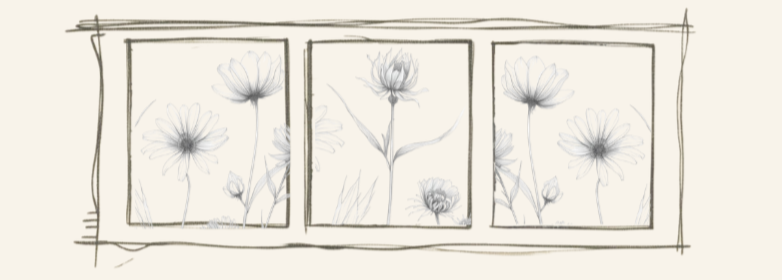 Sketch of three framed floral drawings showing various flowers with stems and leaves.