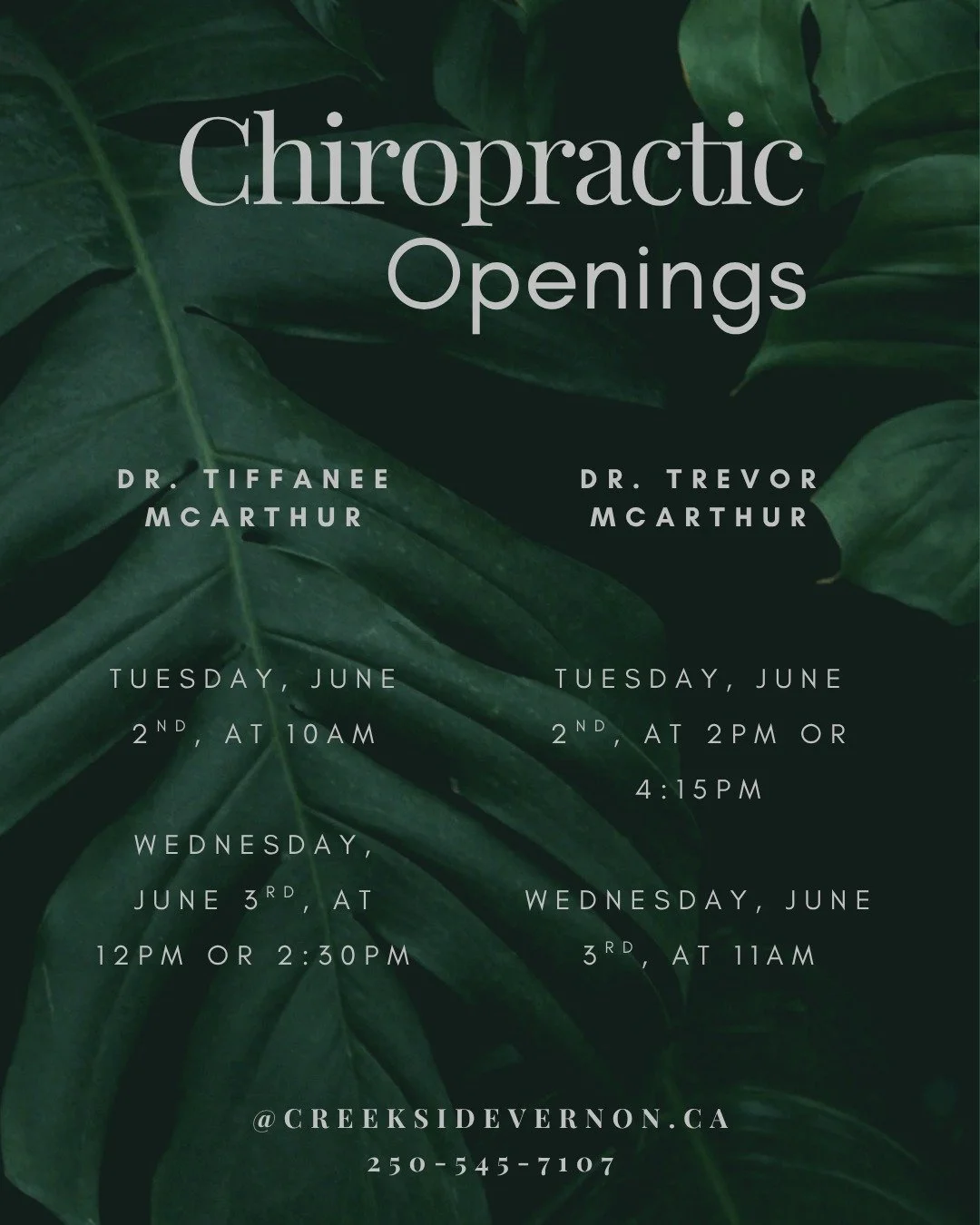 Check out our chiropractic availability! 
Openings with both Dr. Tiffanee McArthur and Dr. Trevor McArthur 

Call us today to book in! Or you can go online @CreeksideVernon.ca
☎️250-545-7107