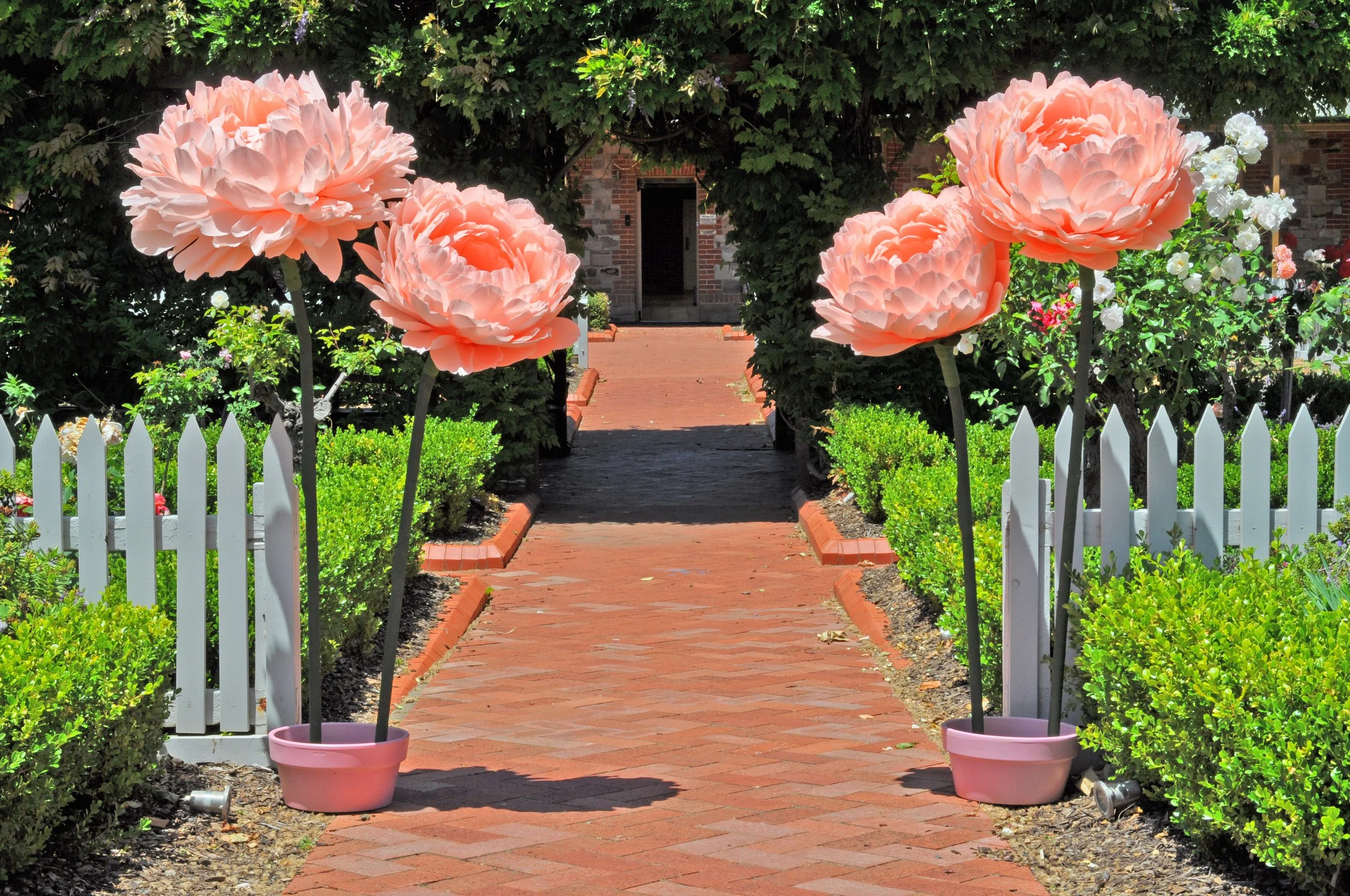 A garden path with large pink artificial peony flowers in pink pots on either side. The path is lined with a white picket fence, green bushes, and flowering plants, leading to a brick building in the background.