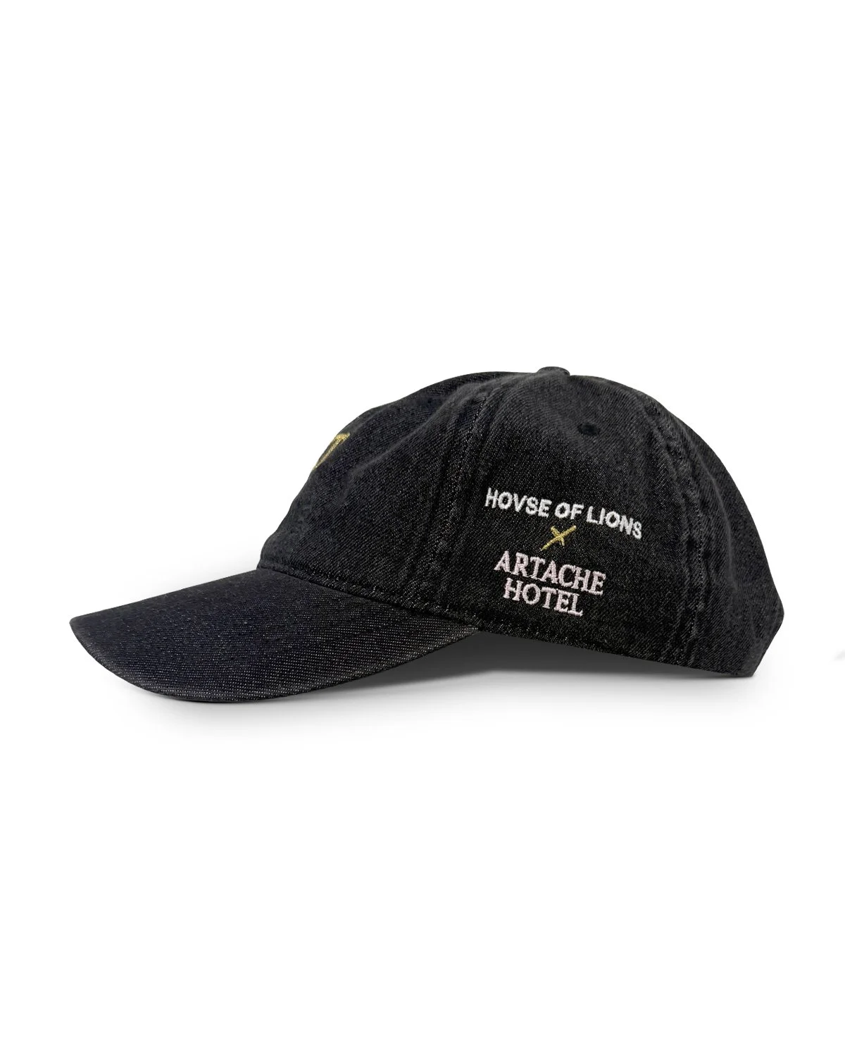 ah-hol-hat-denimdad-buyart-sideview-blk.jpg