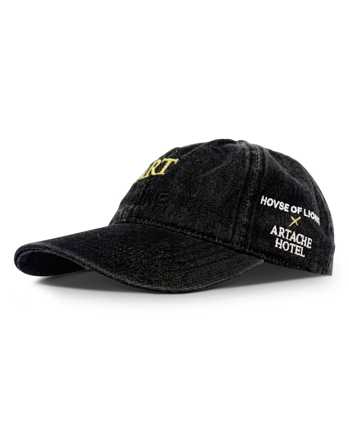 ah-hol-hat-denimdad-buyart-quarterview-blk.jpg