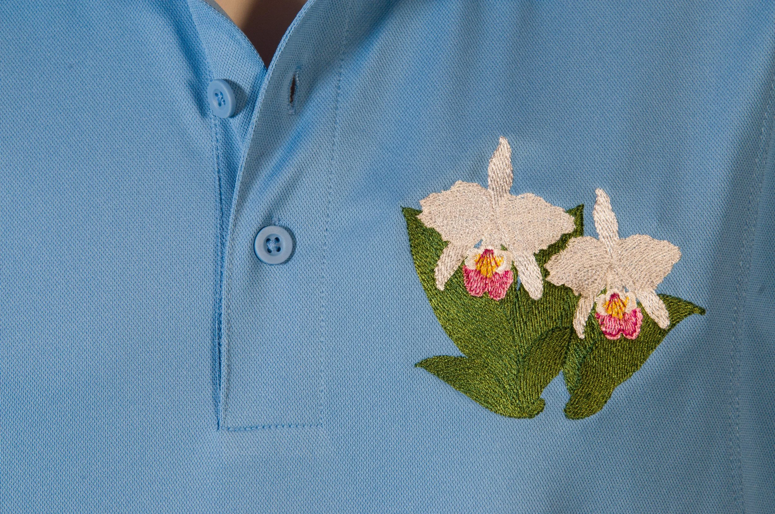 MLC_5254CC_LR.jpg