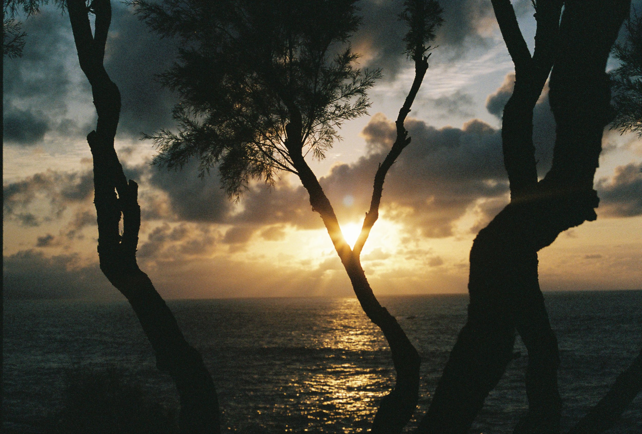 EMMAZMHARDYPHOTOZ copy 2.JPG