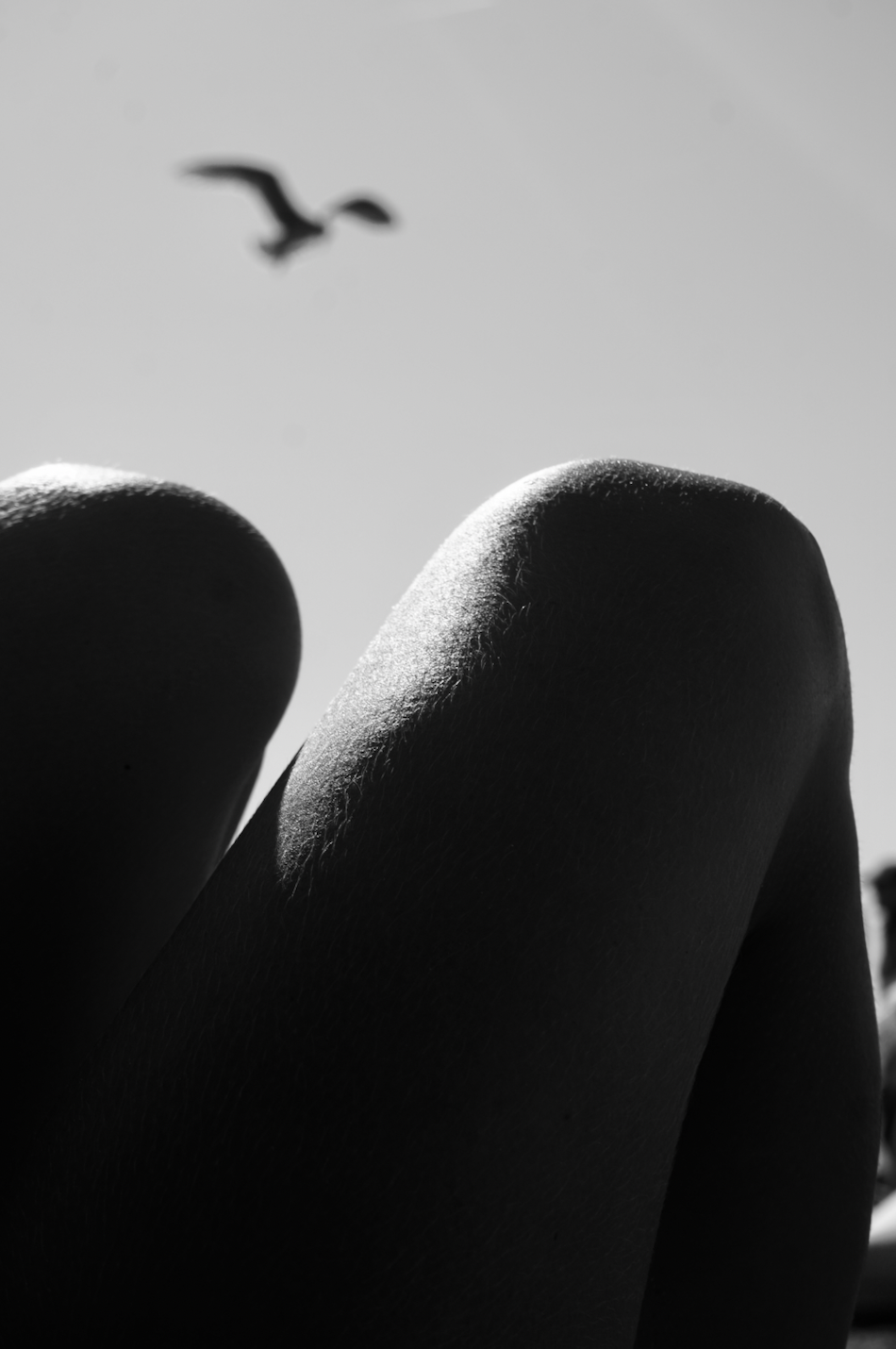 Screenshot 2026-03-02 at 3.01.53 PM.png