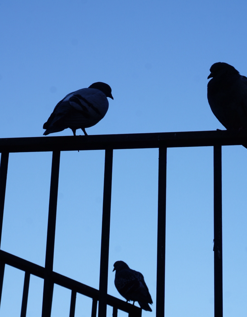 Screenshot 2026-03-03 at 10.47.25 AM.png