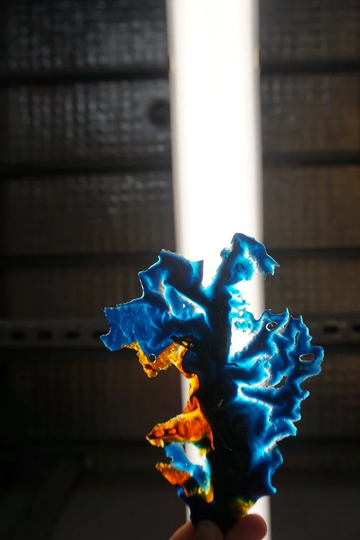 2D659ECF-59E1-4F38-8086-49C258ED1E33_1_105_c.jpeg