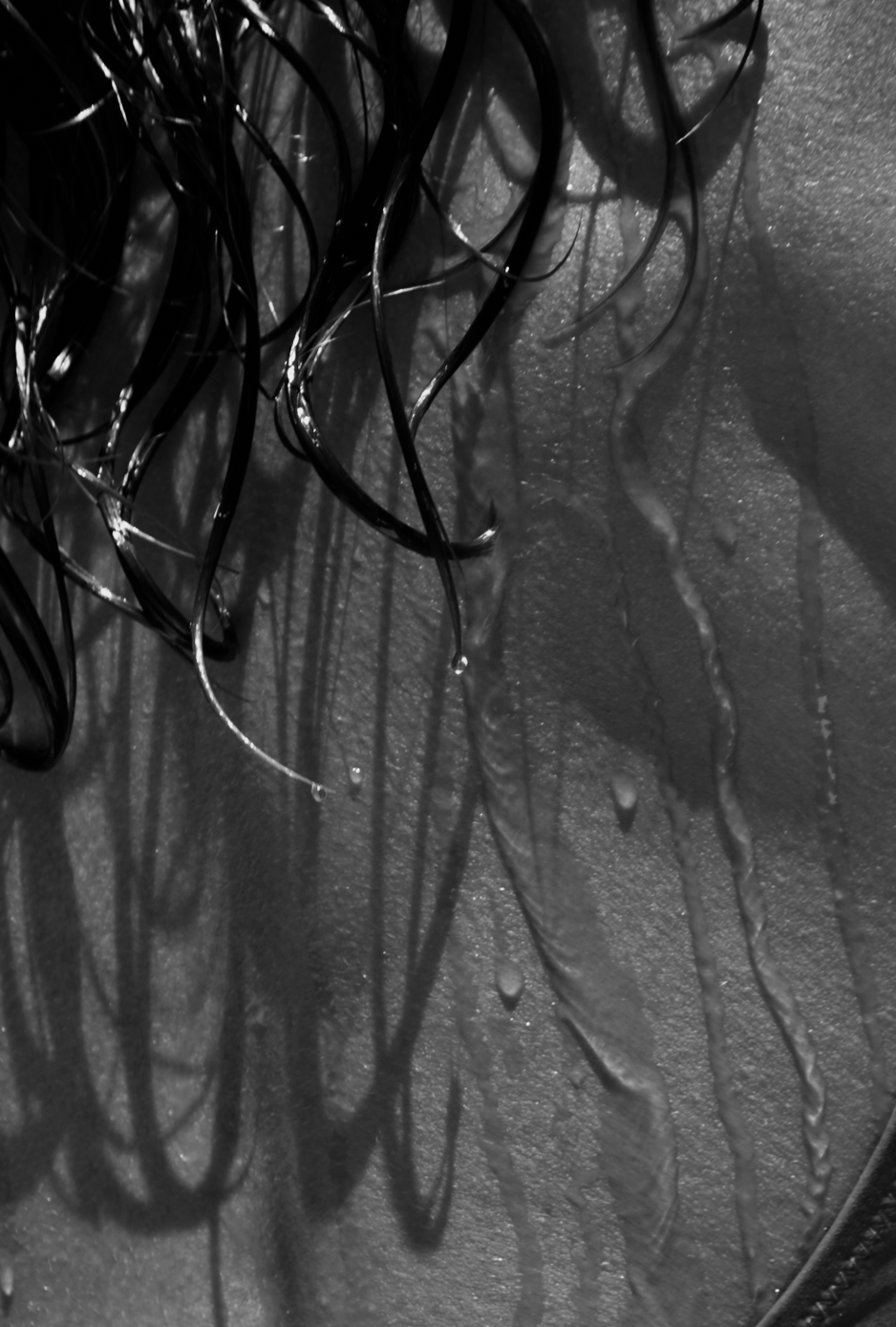 Screenshot 2026-03-03 at 8.32.29 AM.png