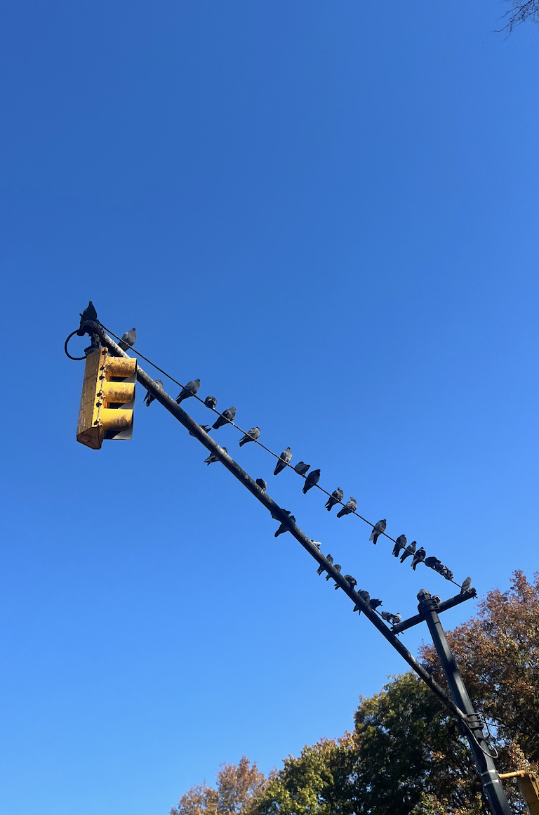 Screenshot 2026-03-03 at 10.46.03 AM.png