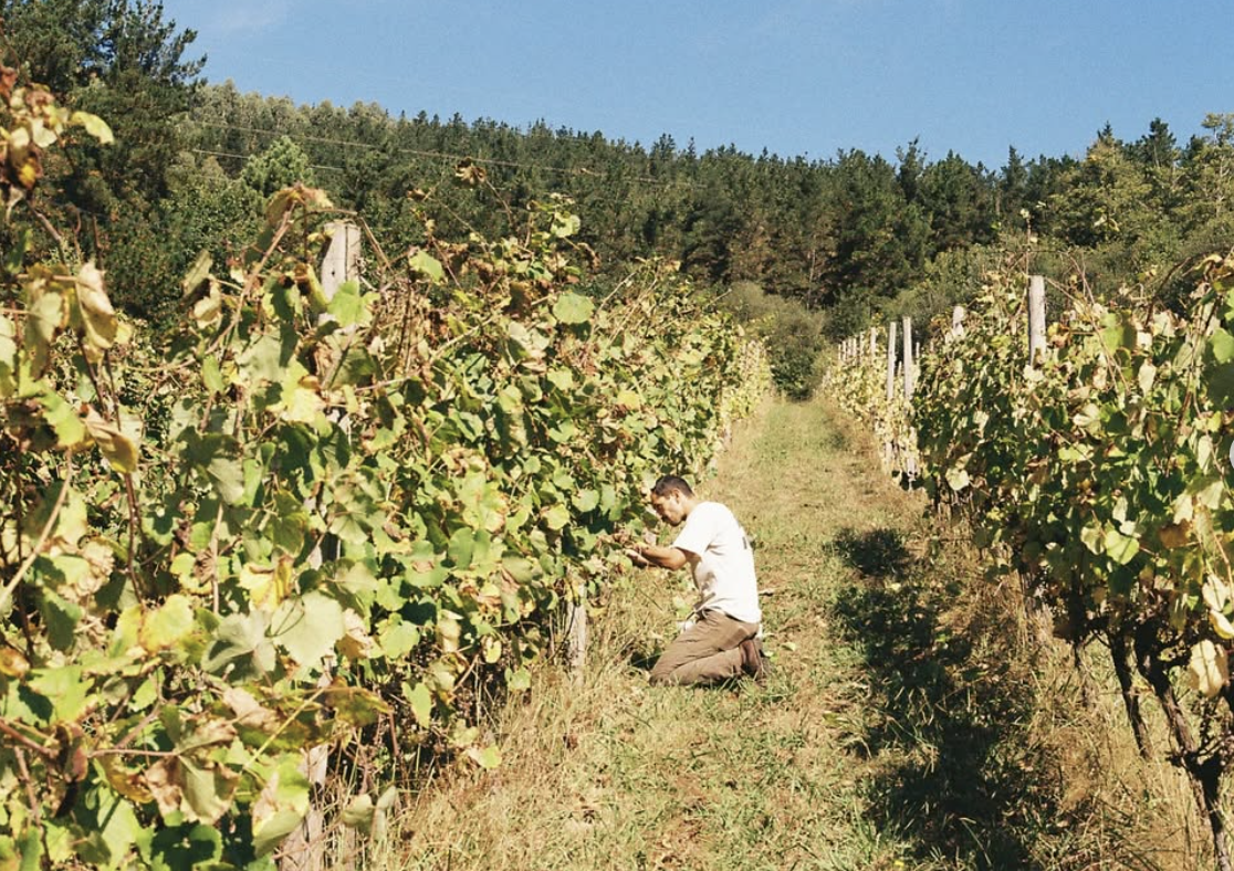 Screenshot 2026-04-16 at 12.56.56 PM.png