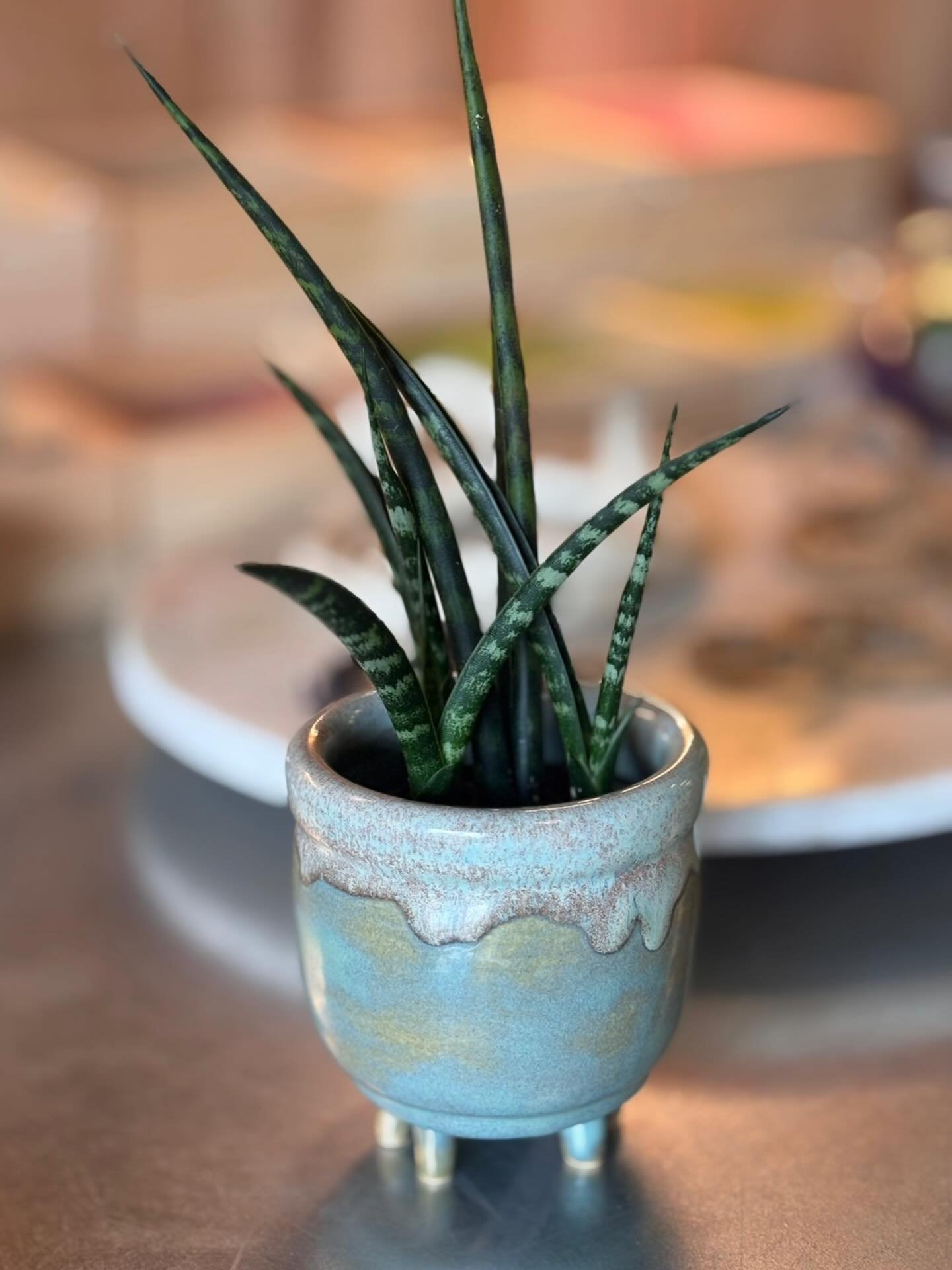 The cutest little pot with the cutest little feet!  Handmade by @peridotpottery
