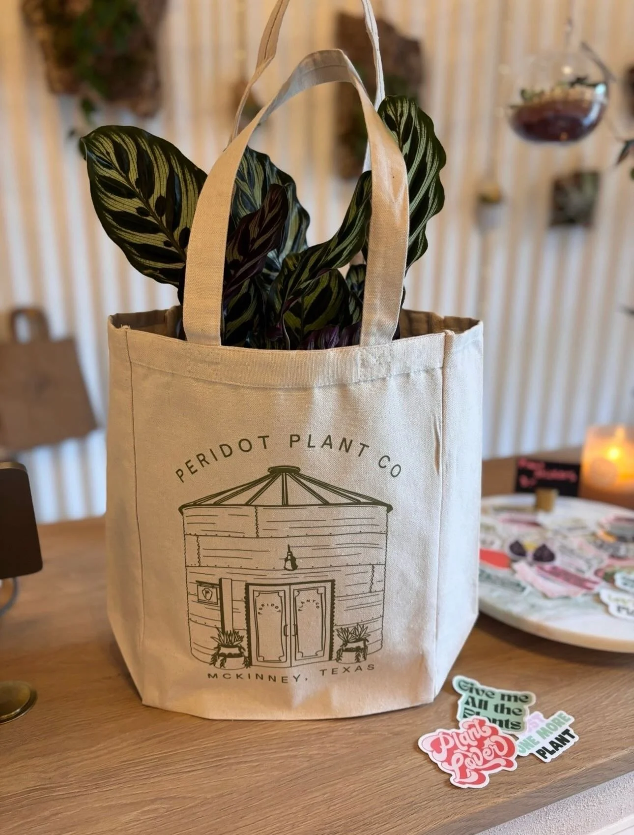 🪴Mother&rsquo;s Day gift ideas!
✨Really cute tote bags with a plant, gift cards, awesome books, handmade pottery or a terrarium (made by you)! 🌱Mother&rsquo;s Day is May 10th!