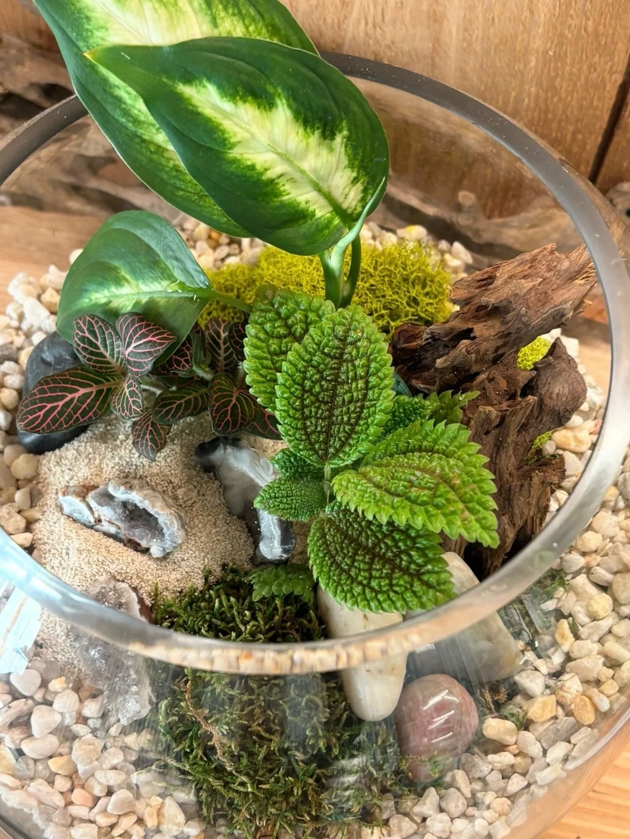 Terrariums, bath rituals by @incausa and new plants at Peridot, come see us!  There&rsquo;s also a Country Fair &amp; Concert today @tupps_brewery 12-6.