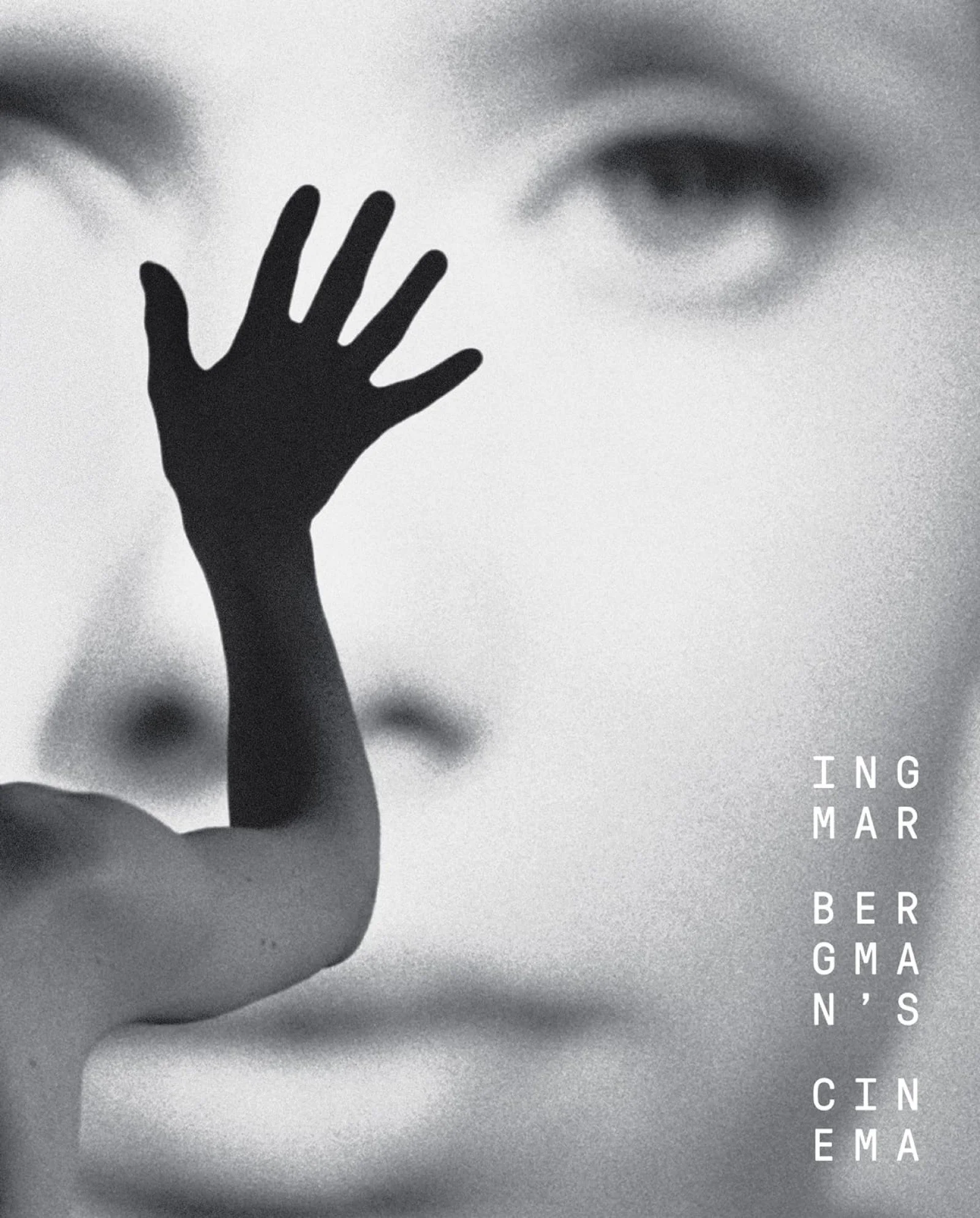 ingmar bergman's cinema.jpg