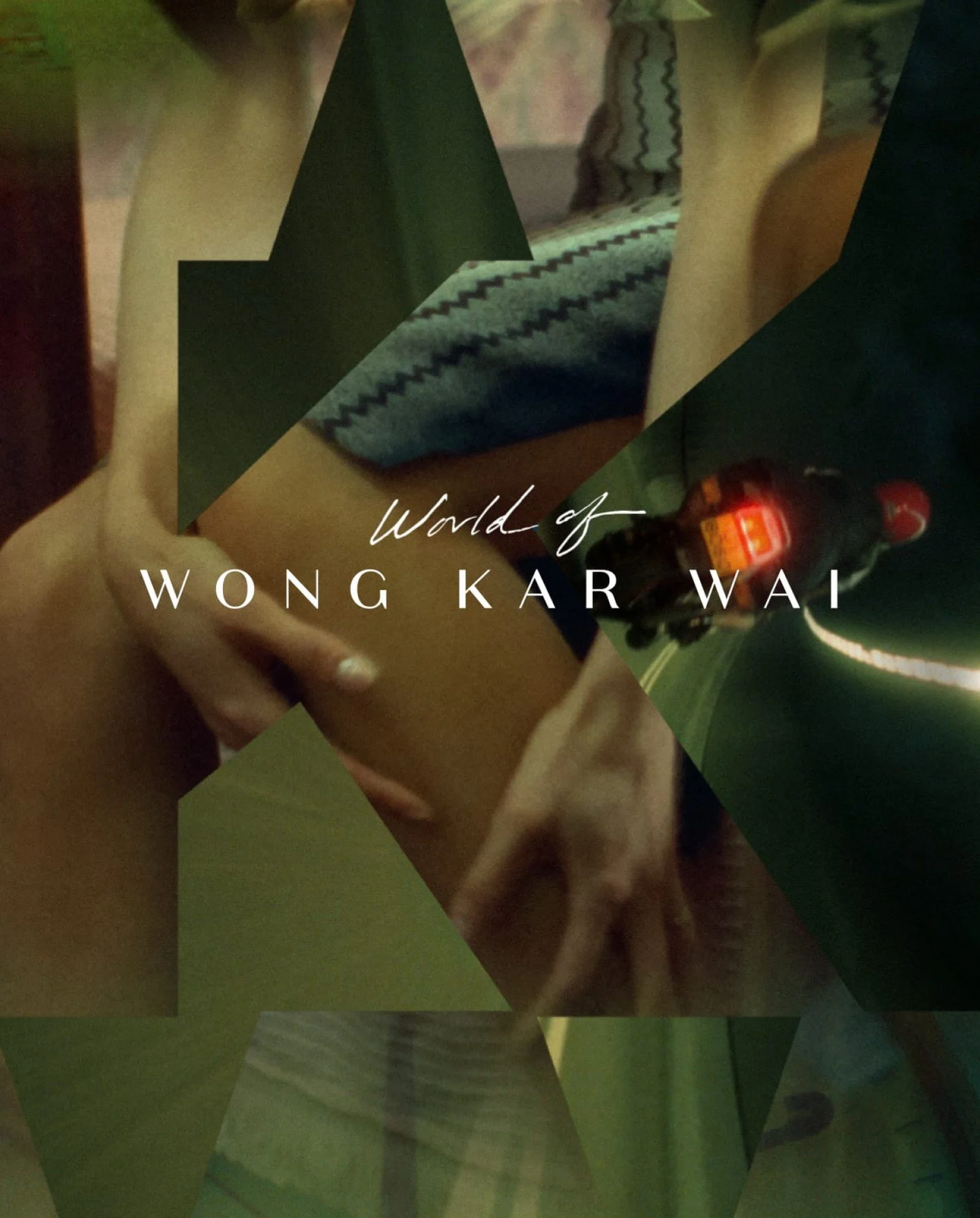 world of wong kar wai.jpg