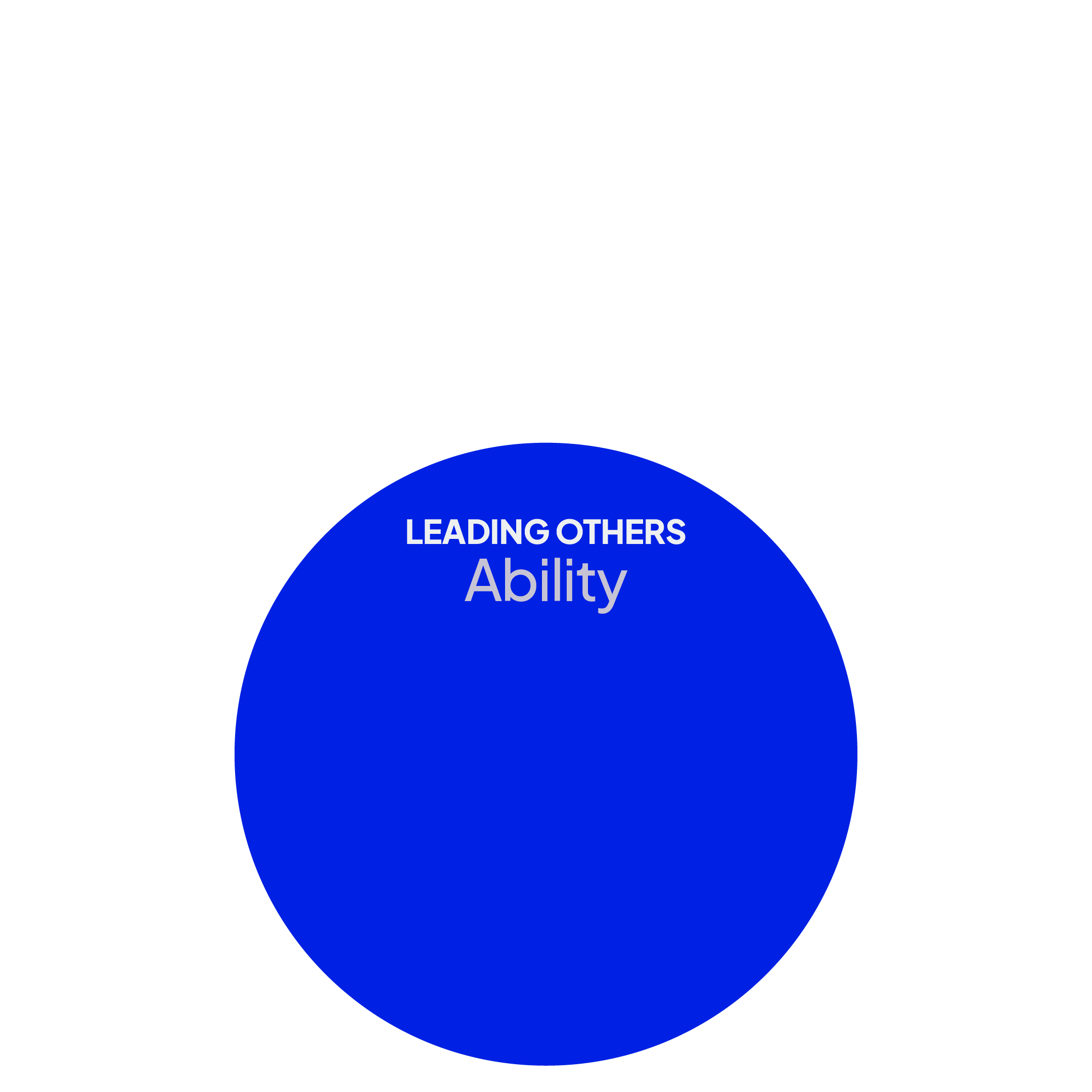Blue circle with white text reading 'Leading Others Ability' on a black background.
