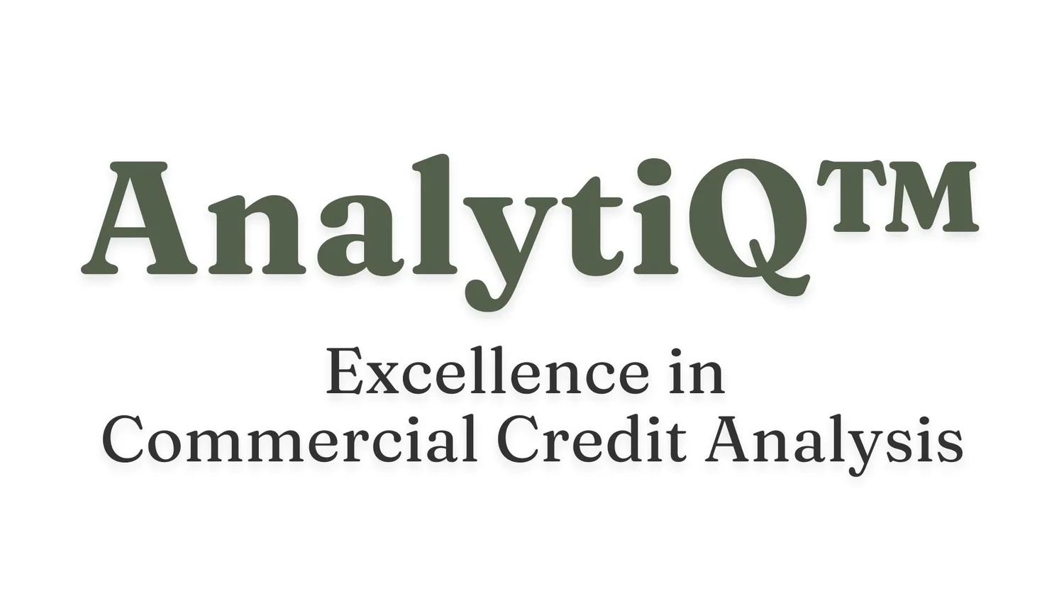 AnalytiQ™ - Excellence in Commercial Credit Analysis