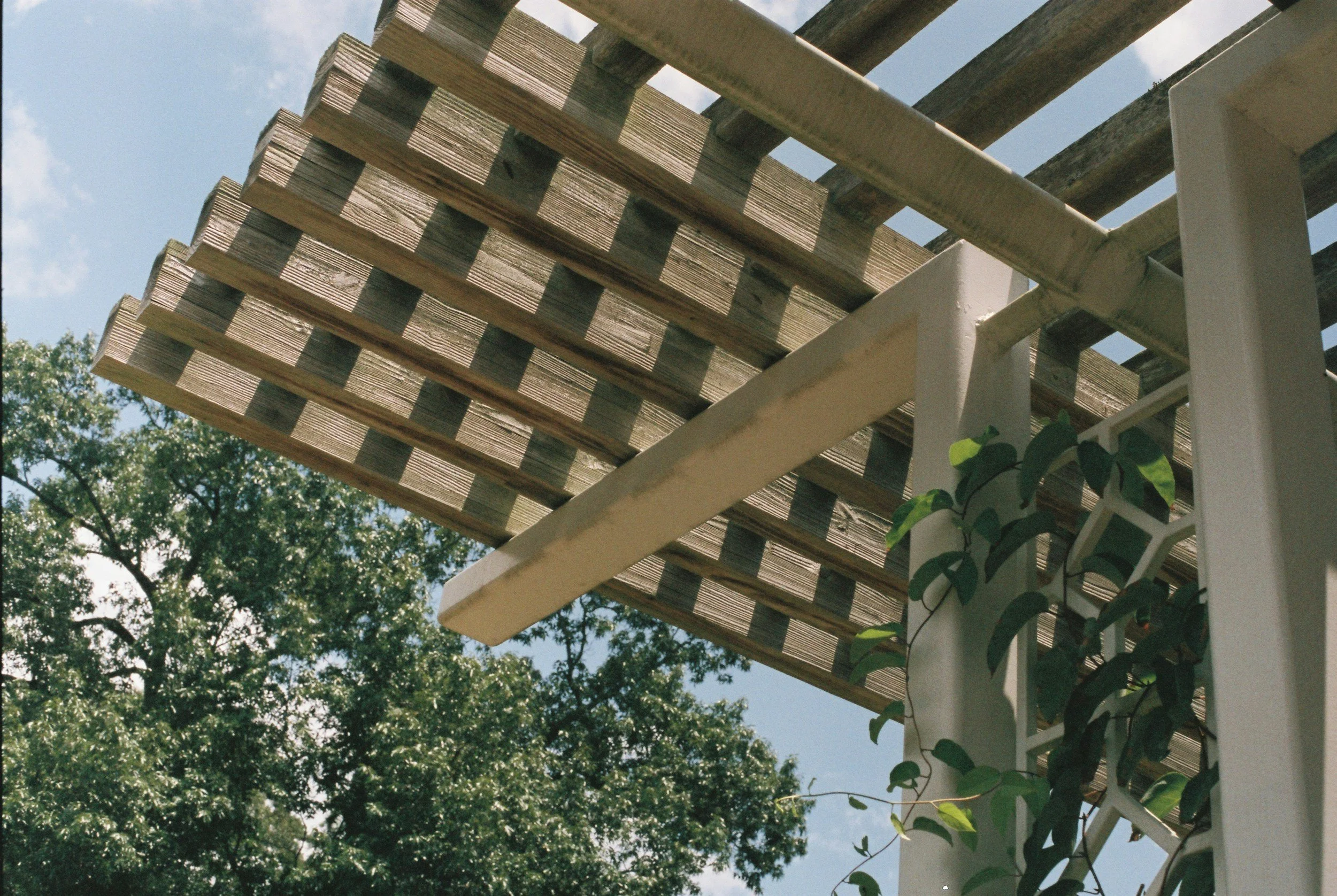 Close-up view of a wooden pergola structure with horizontal wooden slats, supported by a white painted post, with green leafy vine plants growing up the post, against a blue sky with some clouds and green trees in the background.
