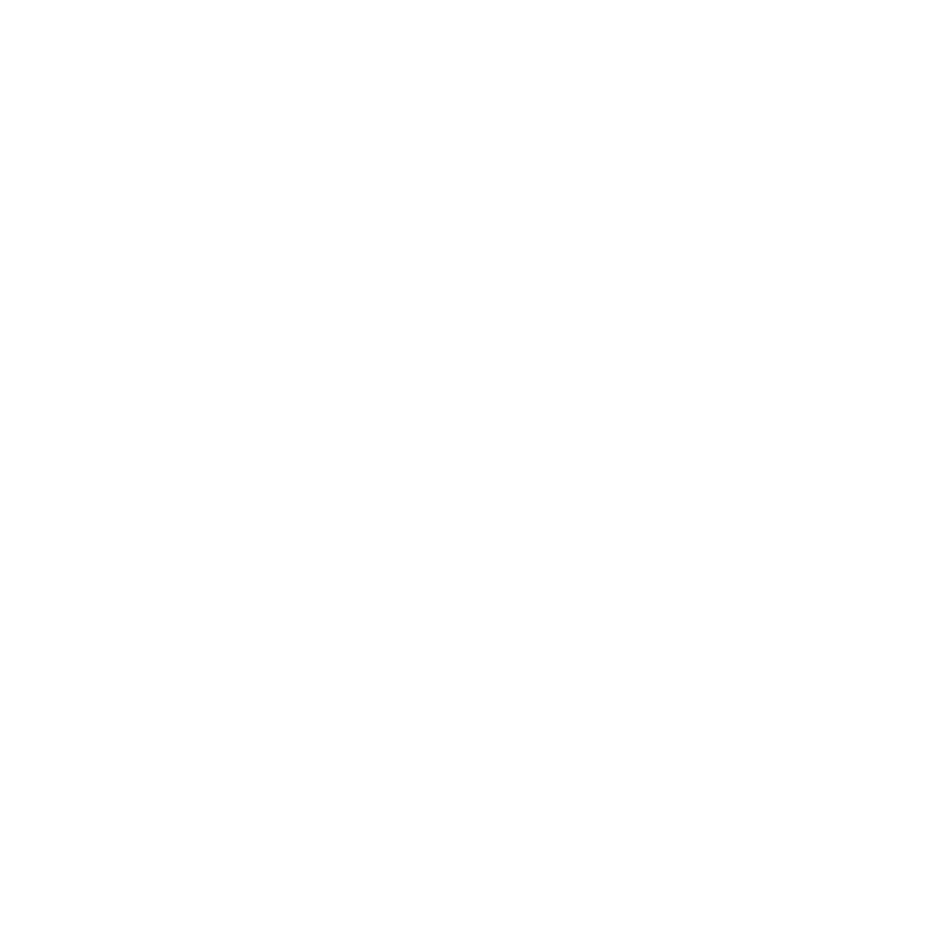 THE ZIGN