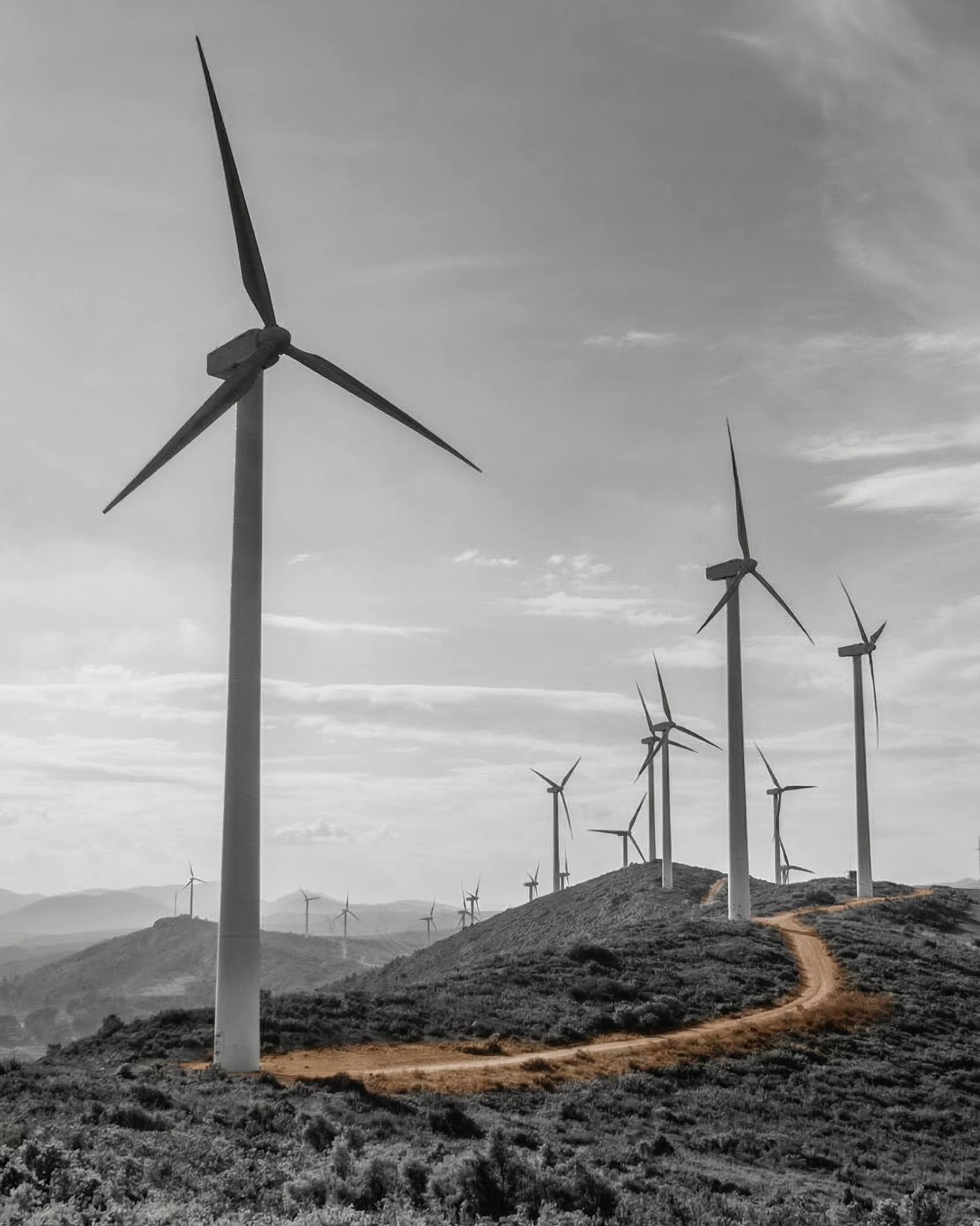 Global markets rally toward the 2050 net zero target