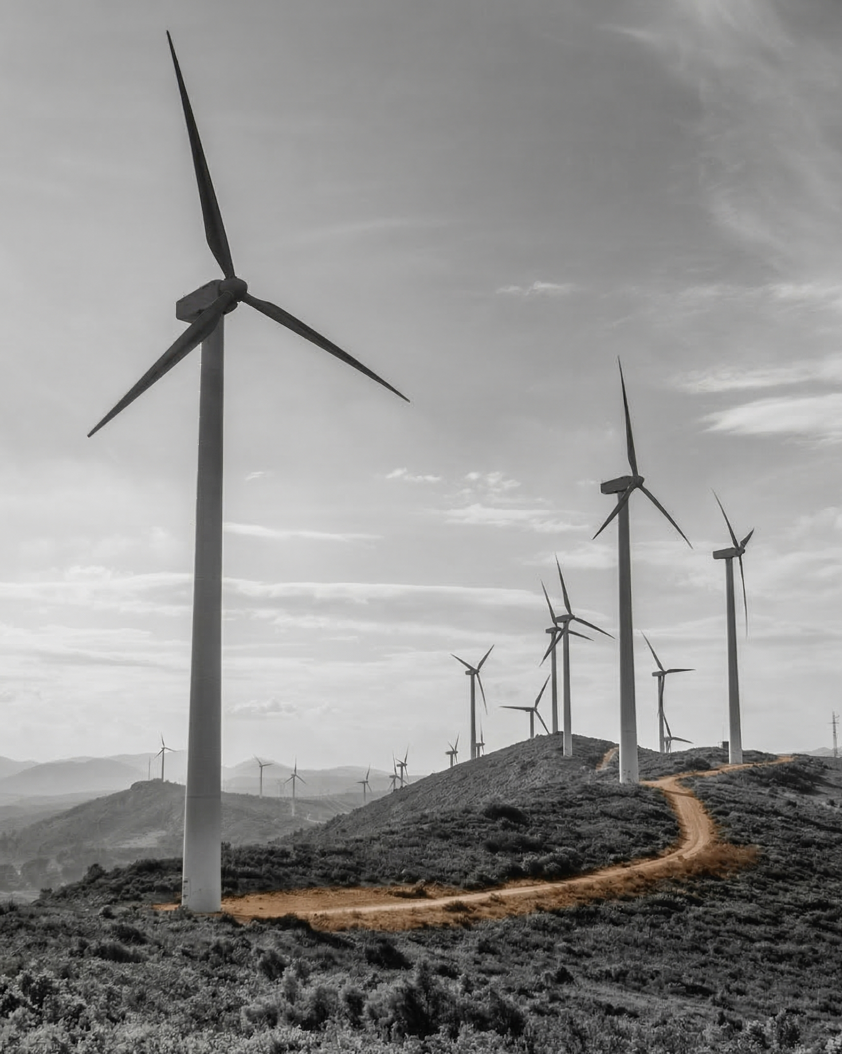 Landscape of multiple wind turbines on a hilly terrain with a dirt trail, black and white filter.