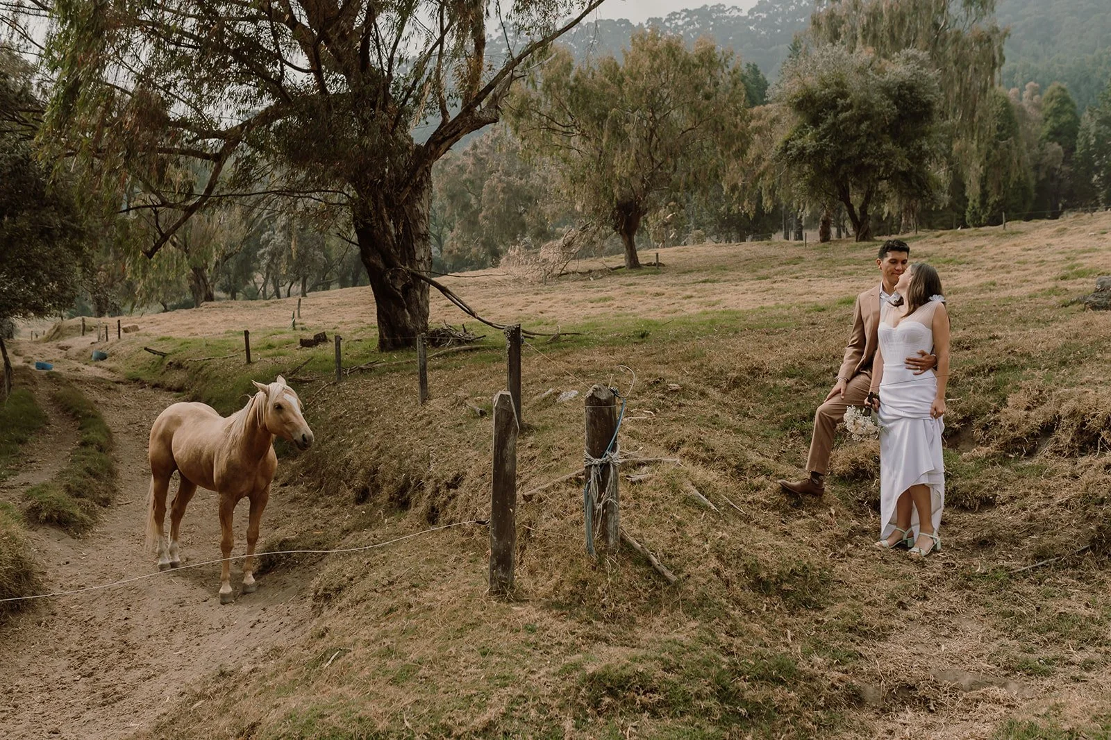 Pareja en vestimenta formal en un campo con caballos, árboles y colinas en el fondo.