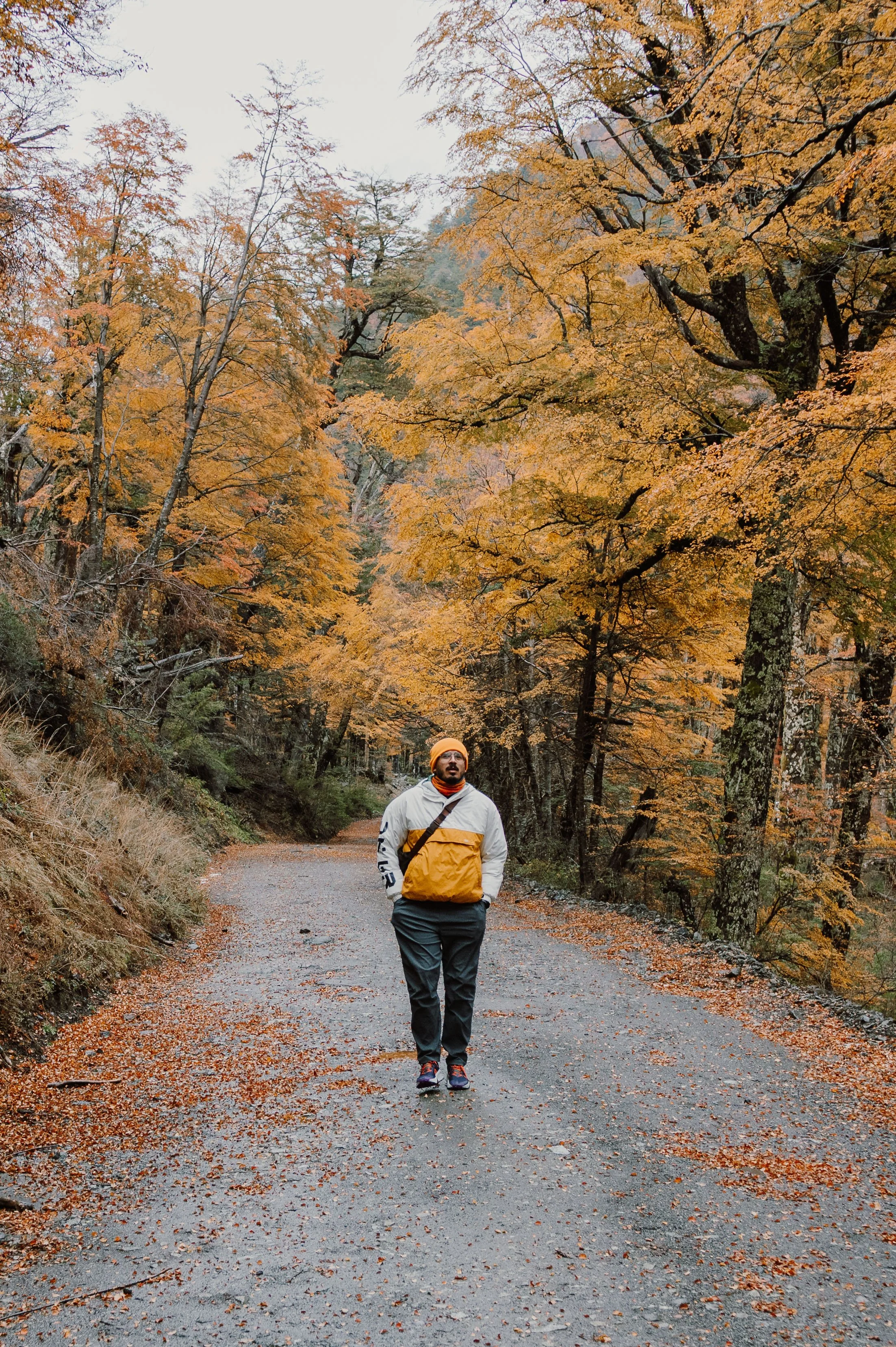 Un hombre caminando por un sendero en un bosque de otoño con árboles de hojas naranjas y amarillas, llevando una chaqueta blanca y una mochila naranja.