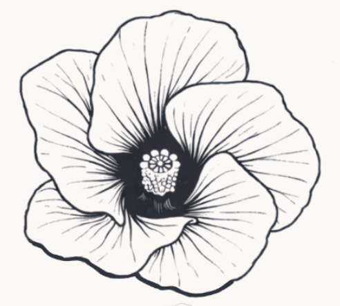 Black and white illustration of an okra flower with detailed petals and center.
