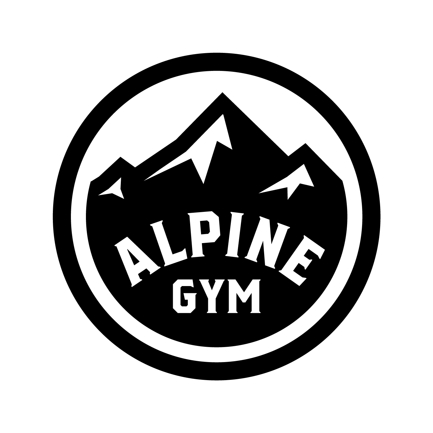 The Alpine Gym &amp; Studio