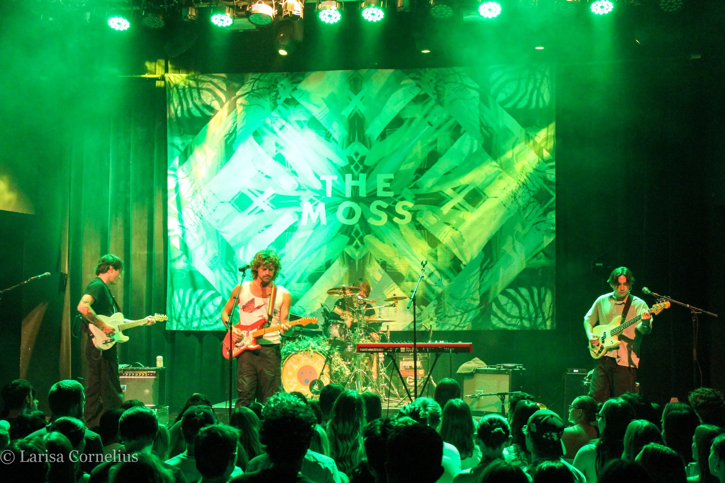 The Moss