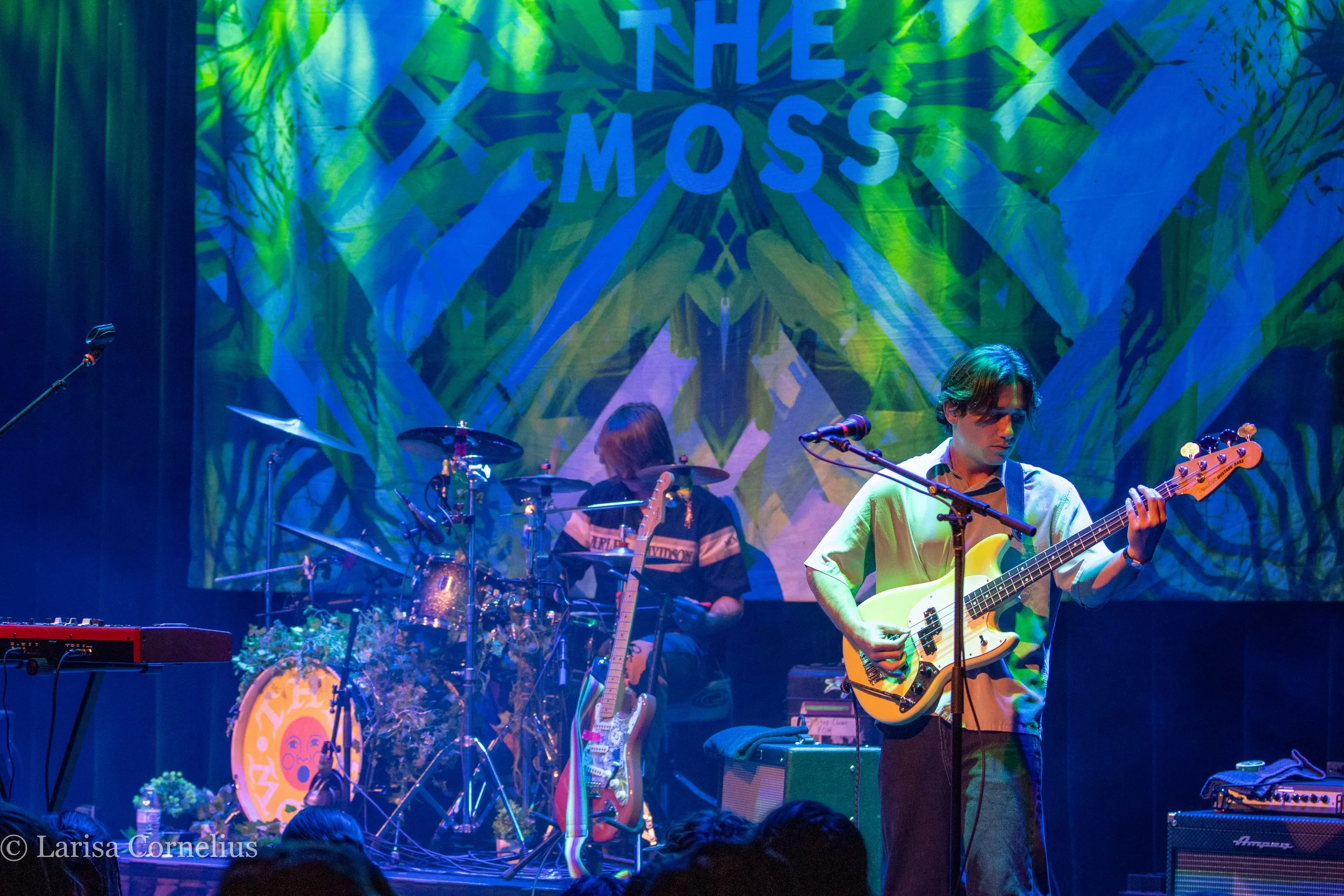 The Moss