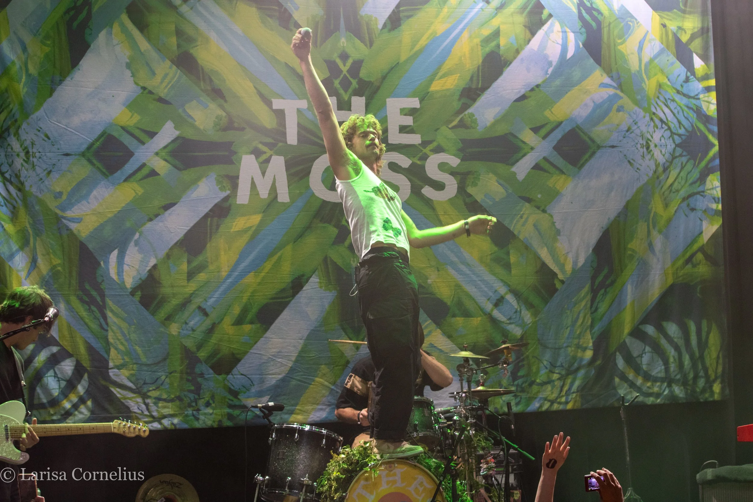 The Moss