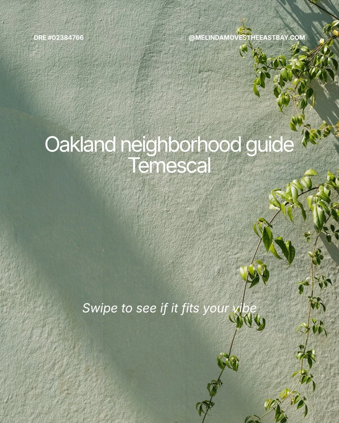 Temescal is one of those Oakland neighborhoods people keep coming back to.

If you&rsquo;re thinking about buying in the East Bay, this is one to have on your list.

Comment TEMESCAL and I&rsquo;ll send you my full neighborhood guide. 

Melinda Rusco