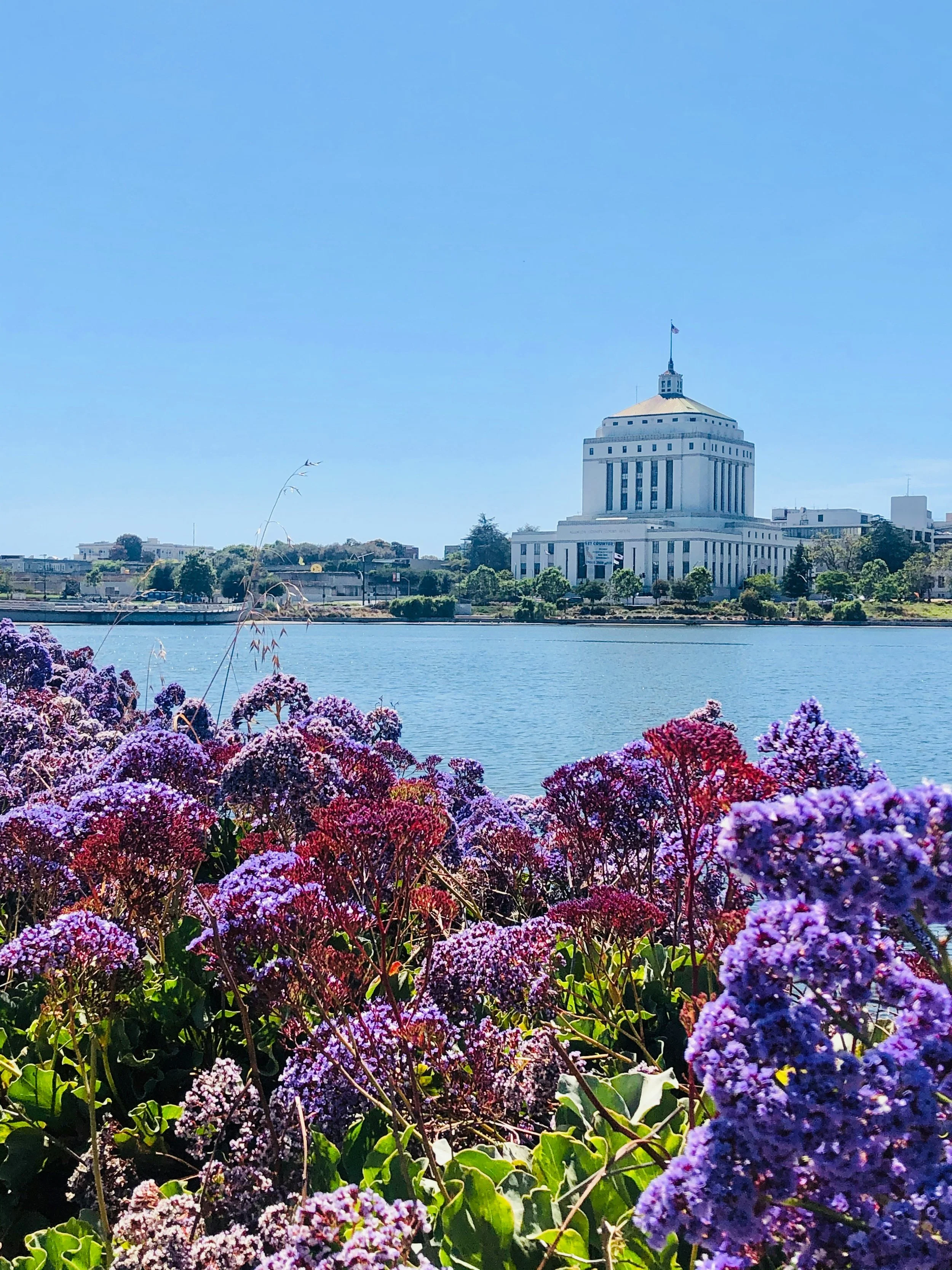 Lake Merritt Oakland California waterfront with blooming flowers and skyline view near Oakland homes and real estate