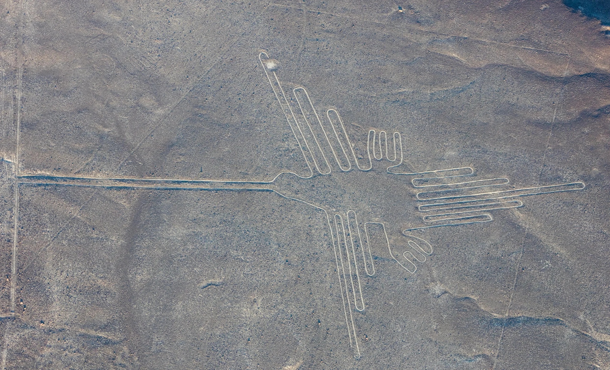 The Nazca Lines — The Schiaparelli Institute Chronicles