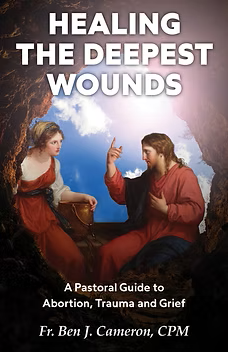 Book cover titled 'Healing the Deepest Wounds: A Pastoral Guide to Abortion, Trauma, and Grief' featuring a painting of a woman and a man engaged in conversation, with a split background showing dark fiery tones on one side and light sky on the other.