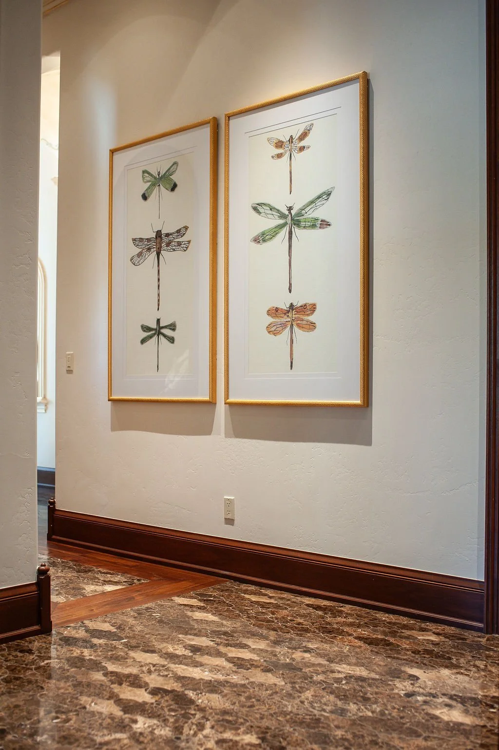 Two framed art pieces hanging on a white wall depicting various insects. The insects are arranged vertically and are illustrated with detailed, colorful wings.