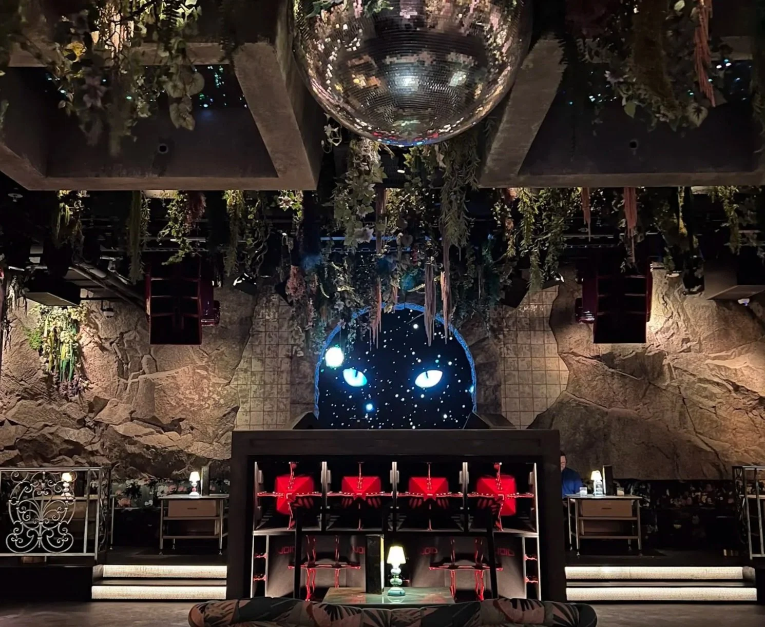 Curiouser and Curiouser at Caveau