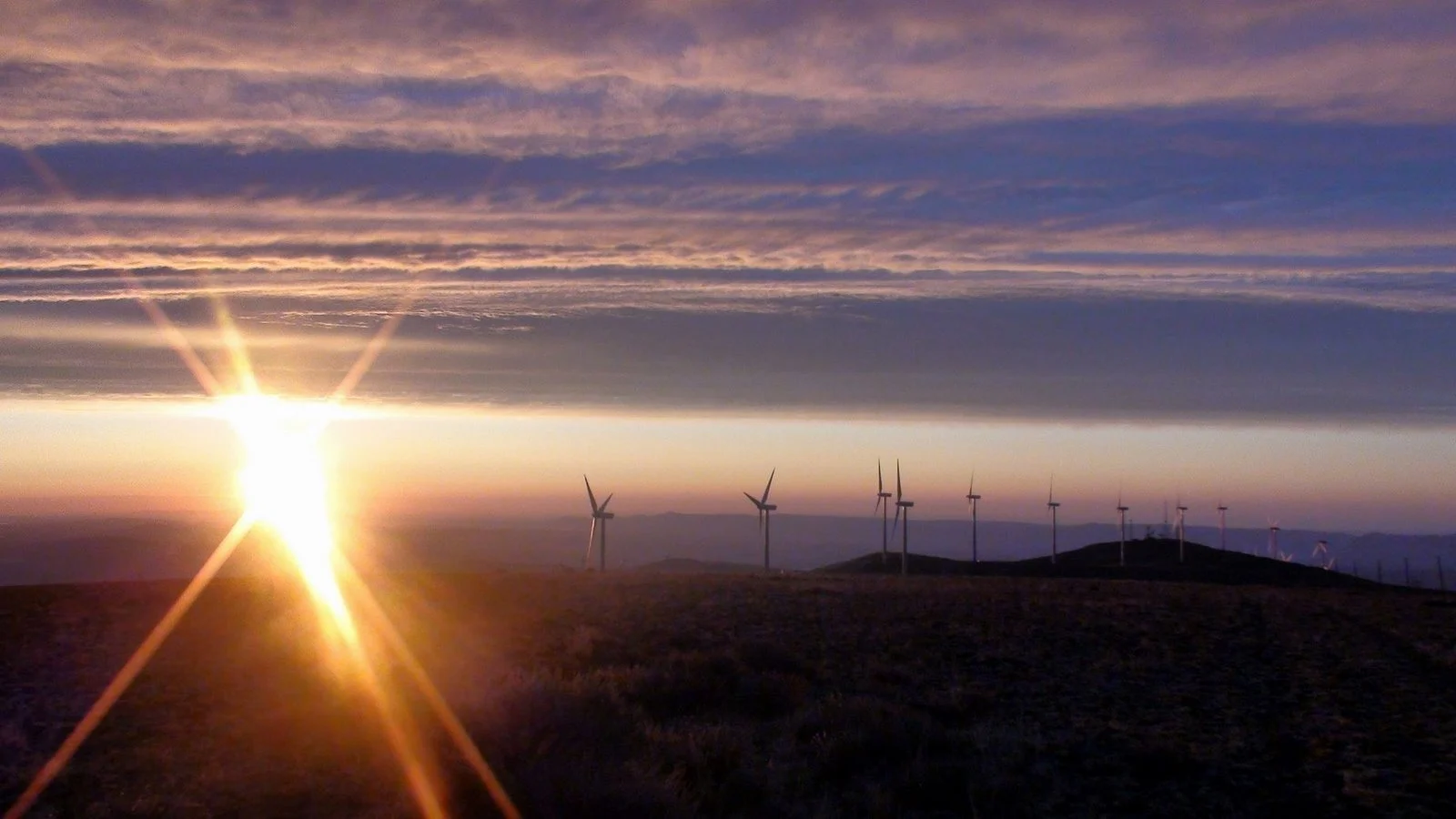 Facing the Future.jpeg