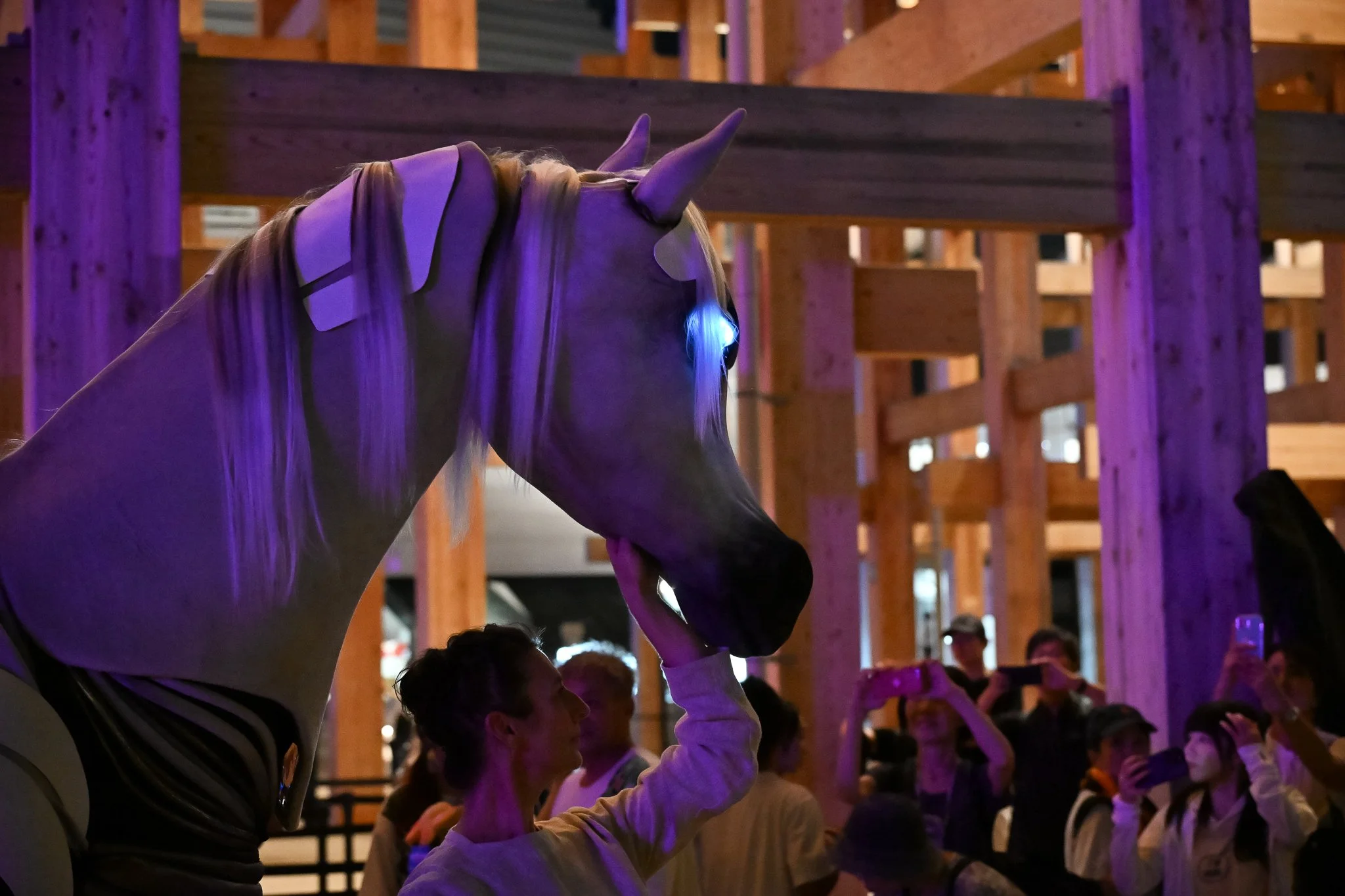 erth-osaka-13sept-06.jpg