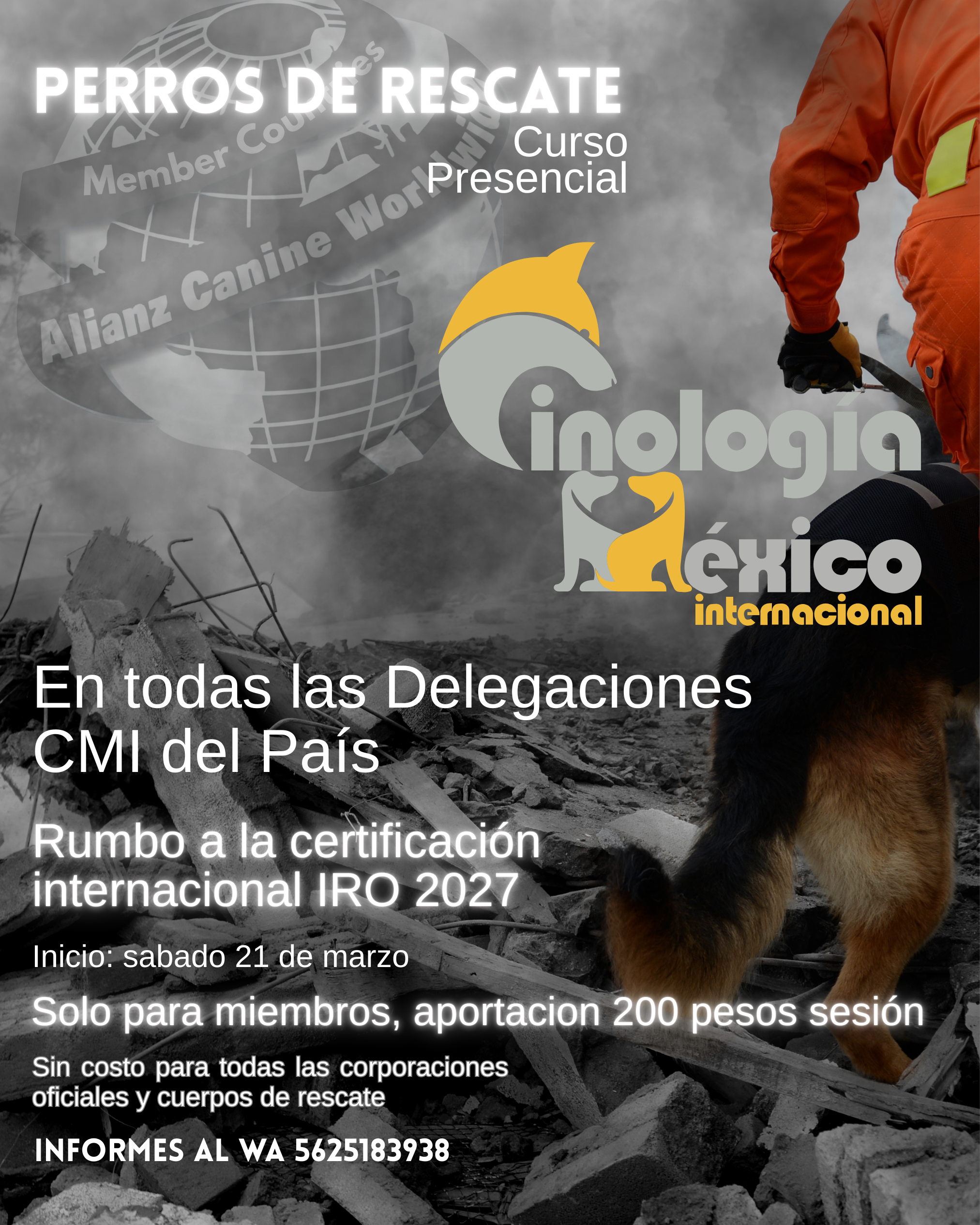Curso de titulación para perros de rescate