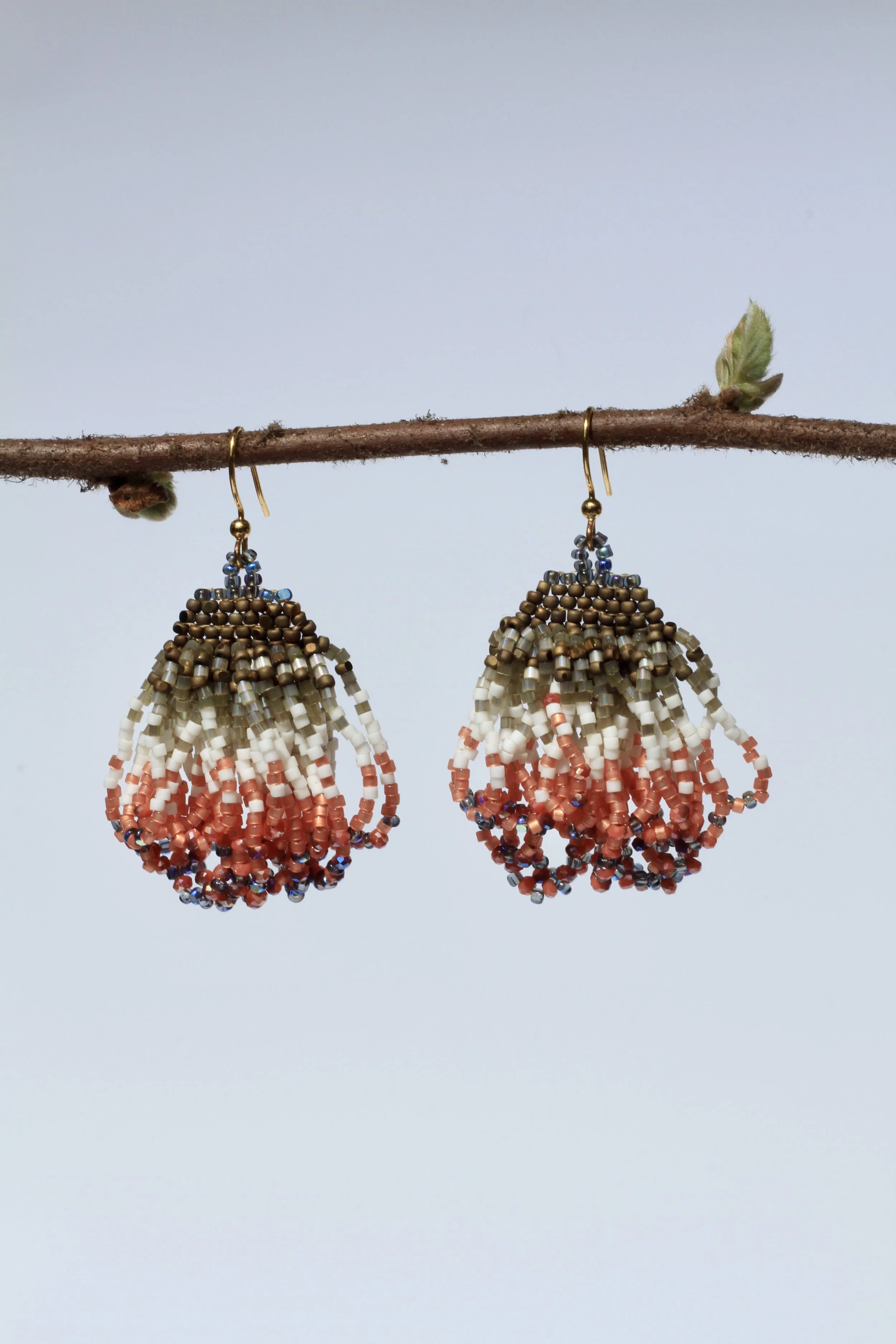 Coral Dorado Nymph's Purse