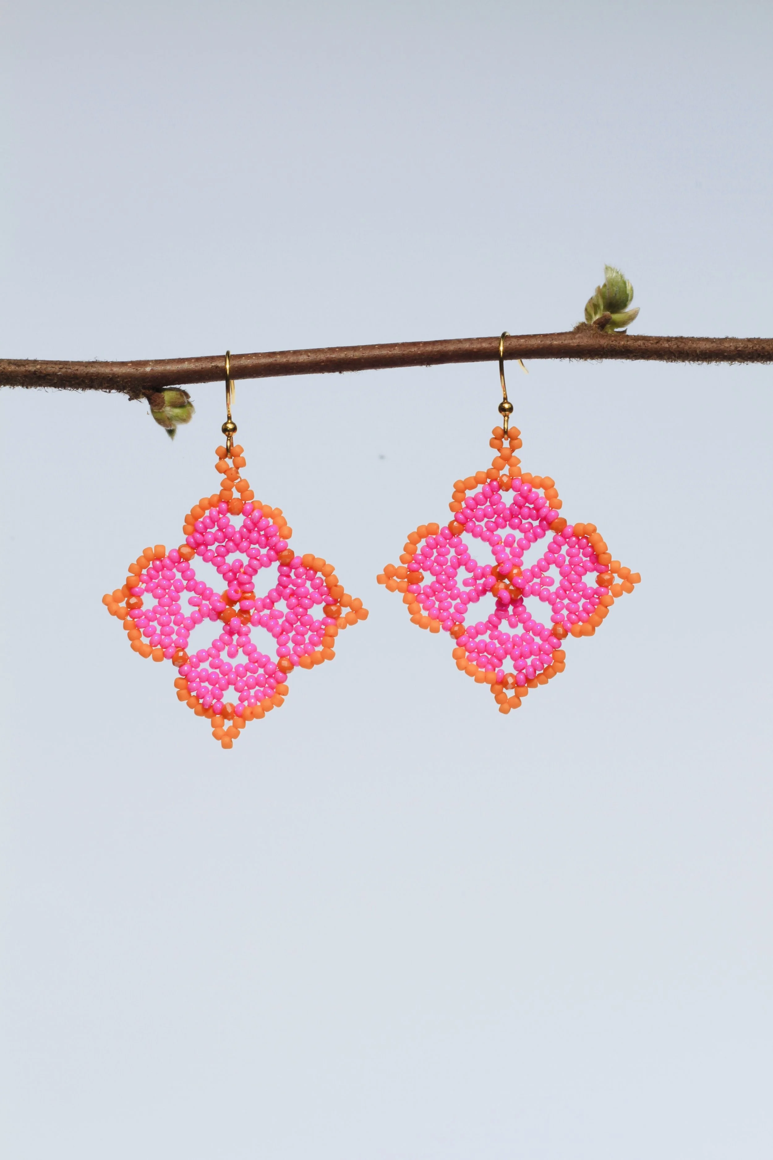 Brilliant Sunset Desert Blossom