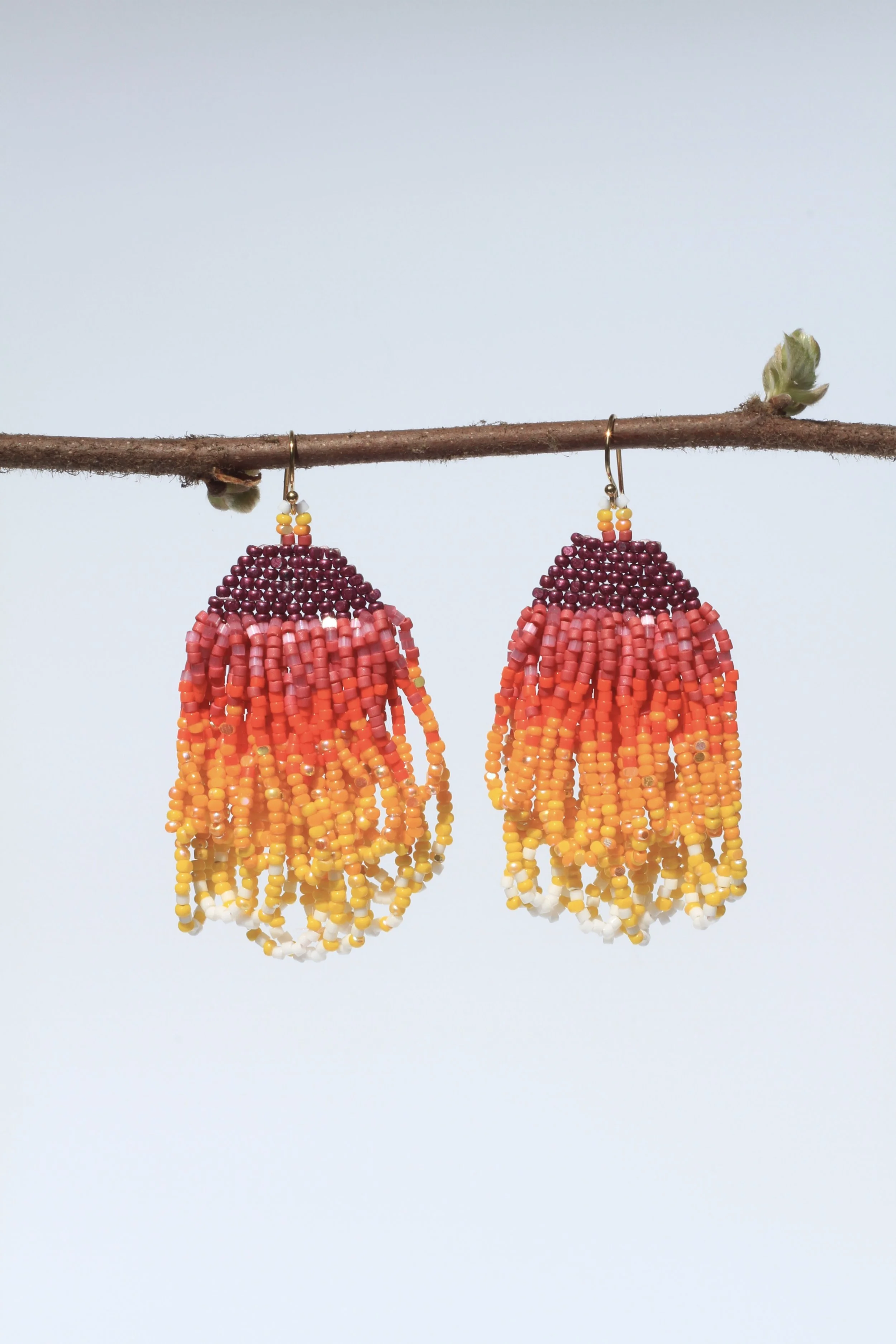 Brilliant Sunset Starfall