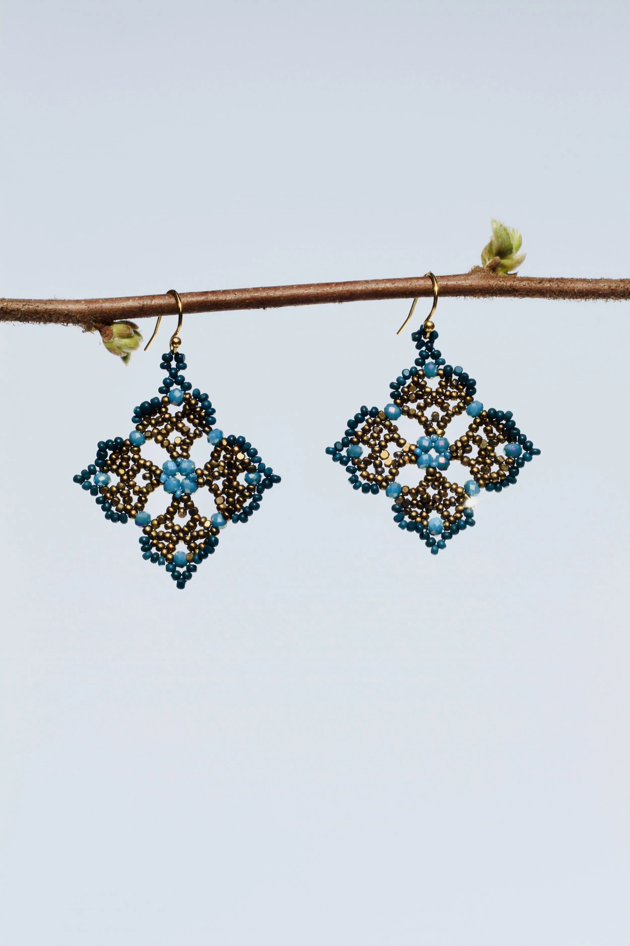 Night Galaxy Desert Bloom