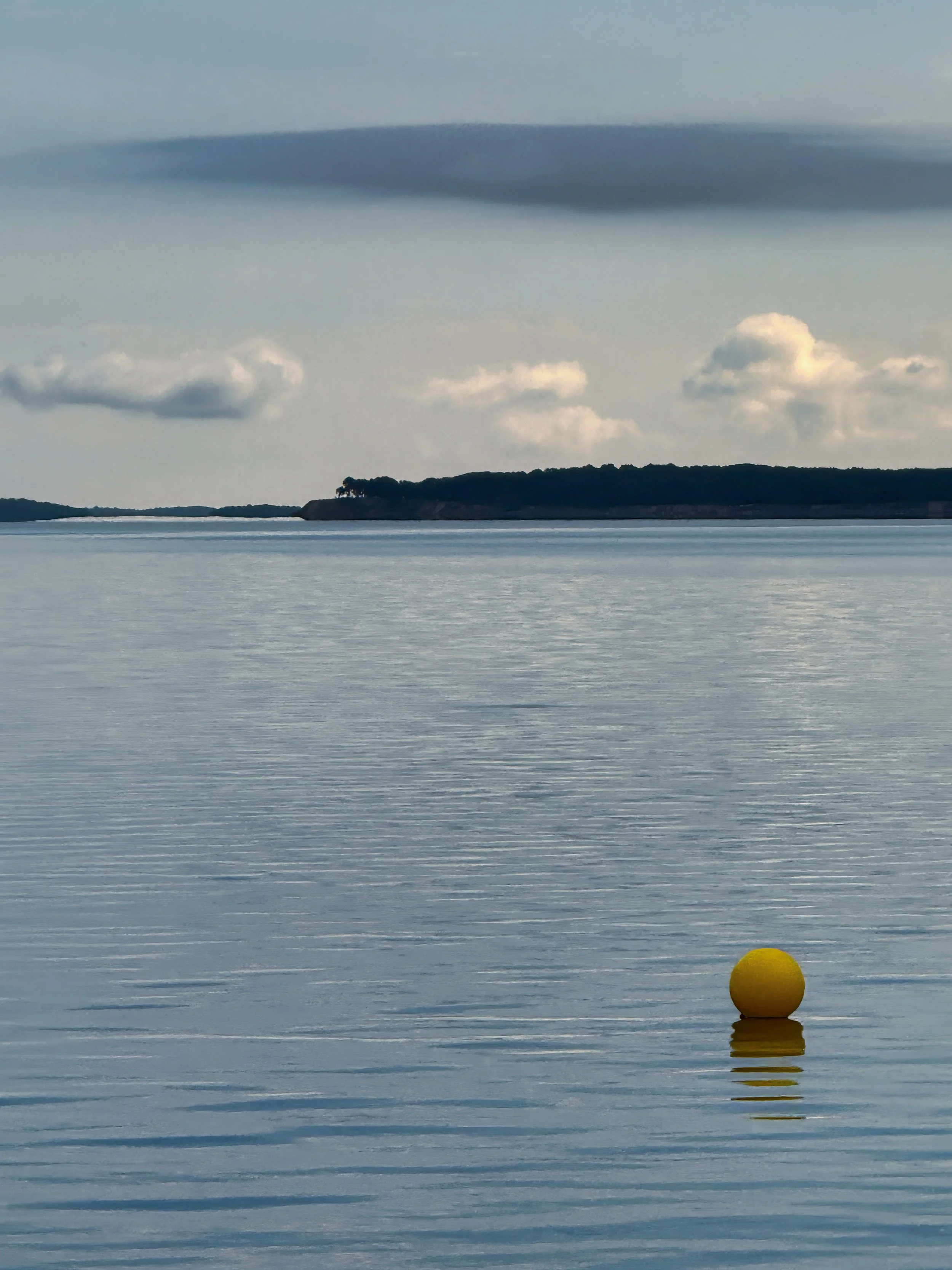 A Point of Yellow | Southampton, New York 2025